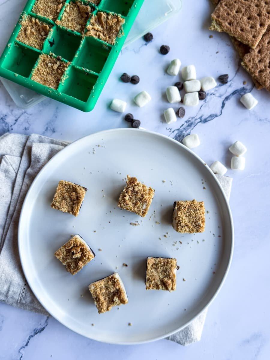 smores protein bites - 6 on a plate