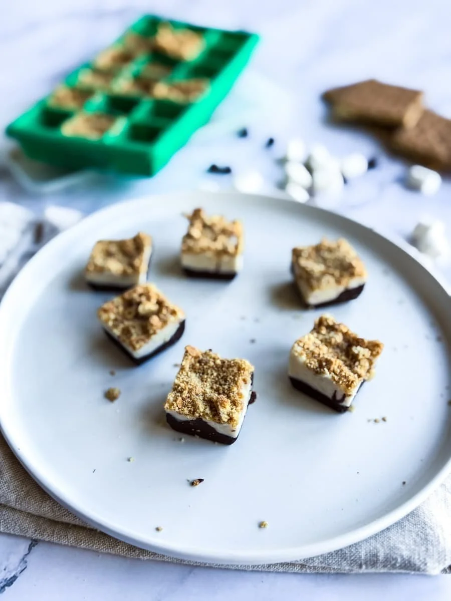 detail shot of s'mores protein bites on a plate