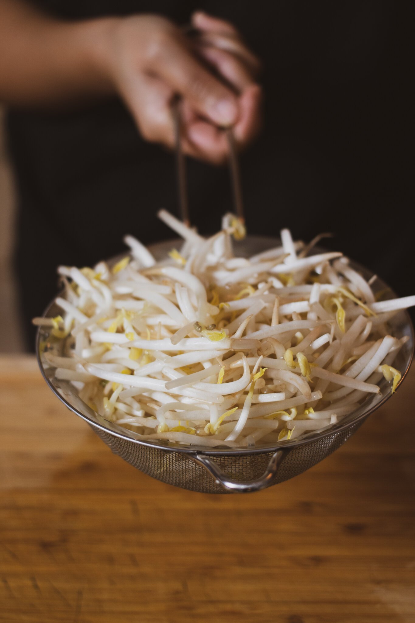 1_Bean sprouts.jpg