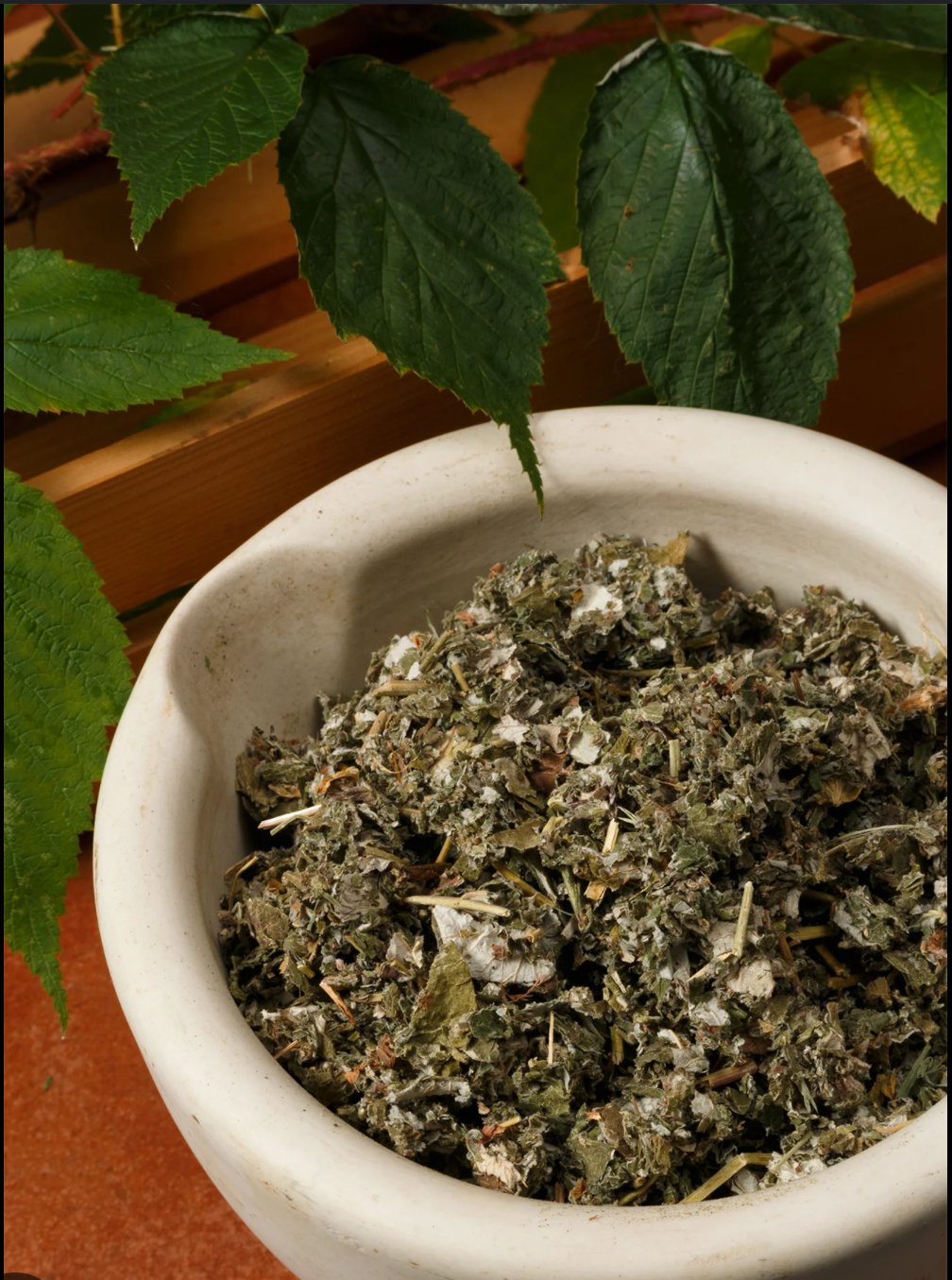 Red Raspberry Leaf