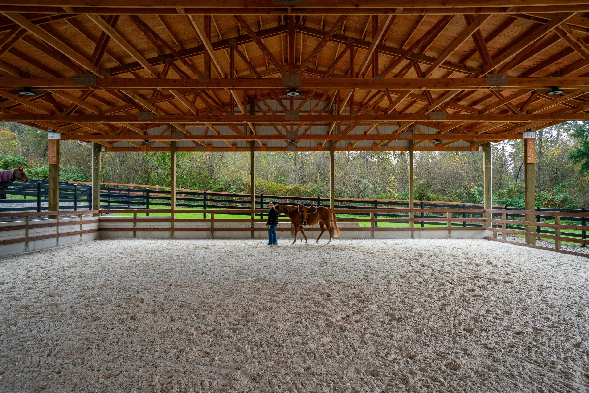An indoor horse riding arena with a wooden roof and enclosure, with a person and a horse standing inside. Outside the arena, trees and greenery are visible.