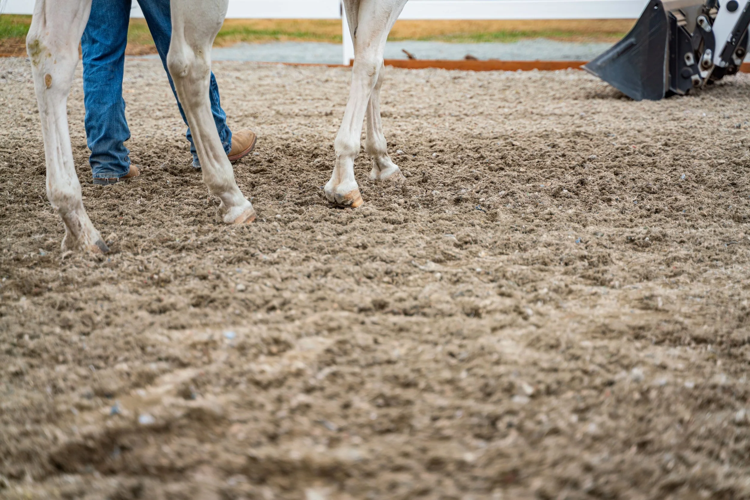 A person with blue jeans and brown boots standing on a dirt surface next to a white horse with light-colored hooves. A piece of agricultural or landscaping machinery is visible in the background.
