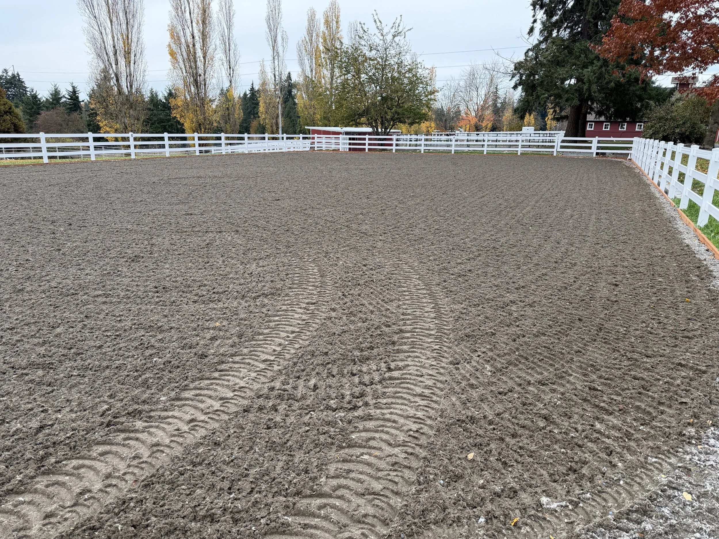 An outdoor riding arena with brown dirt footing, surrounded by a white fence, with trees and buildings in the background.