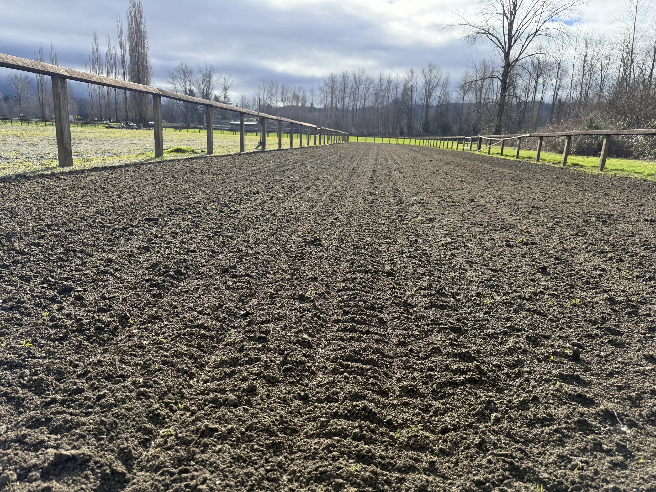 View of a racetrack with textured dirt surface, wooden railings on both sides, and leafless trees in the background under a cloudy sky.