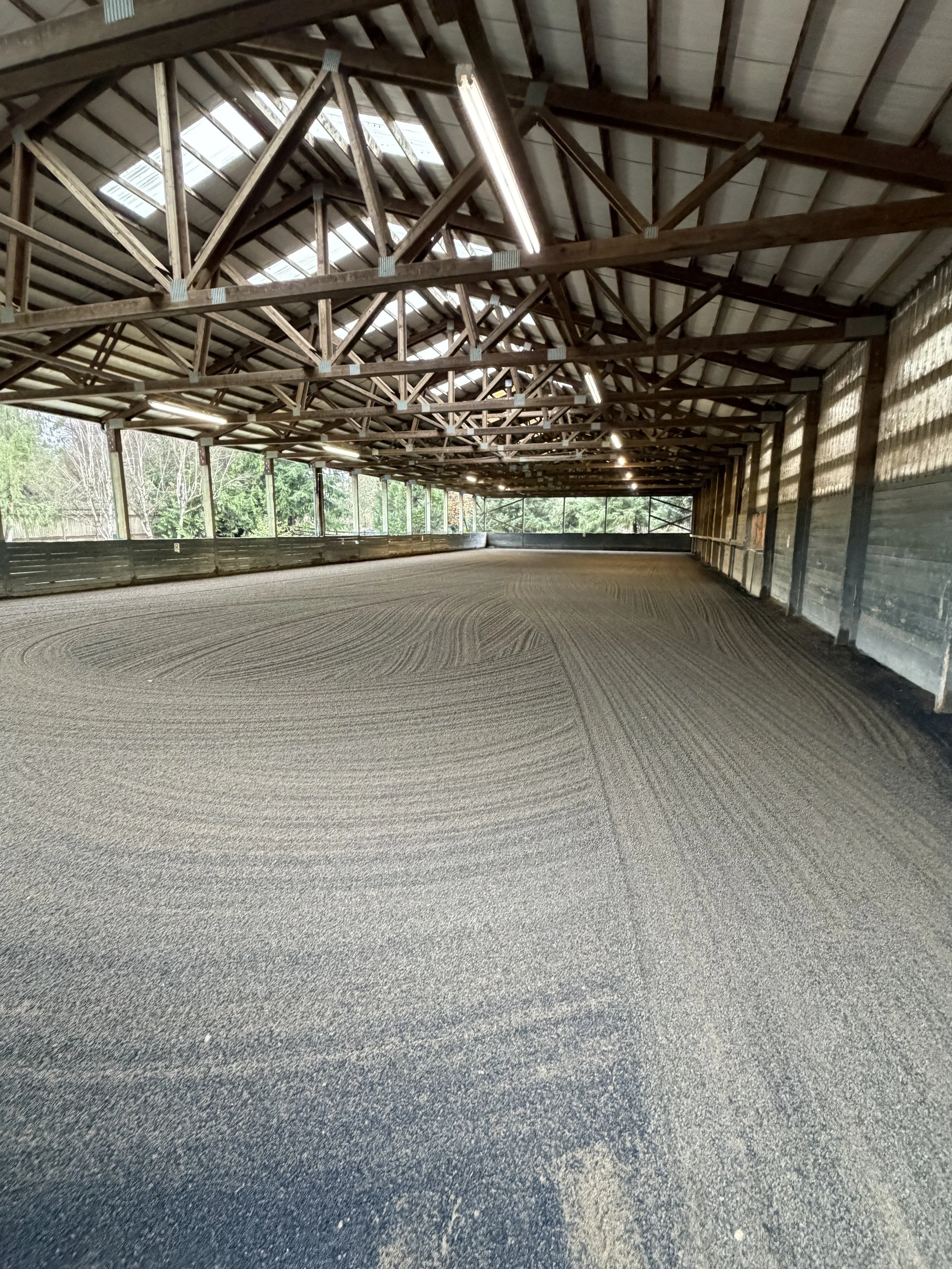 Indoor equestrian riding arena with dirt or sand footing and wooden barriers, illuminated by natural light through windows and skylights, with visible trees outside.