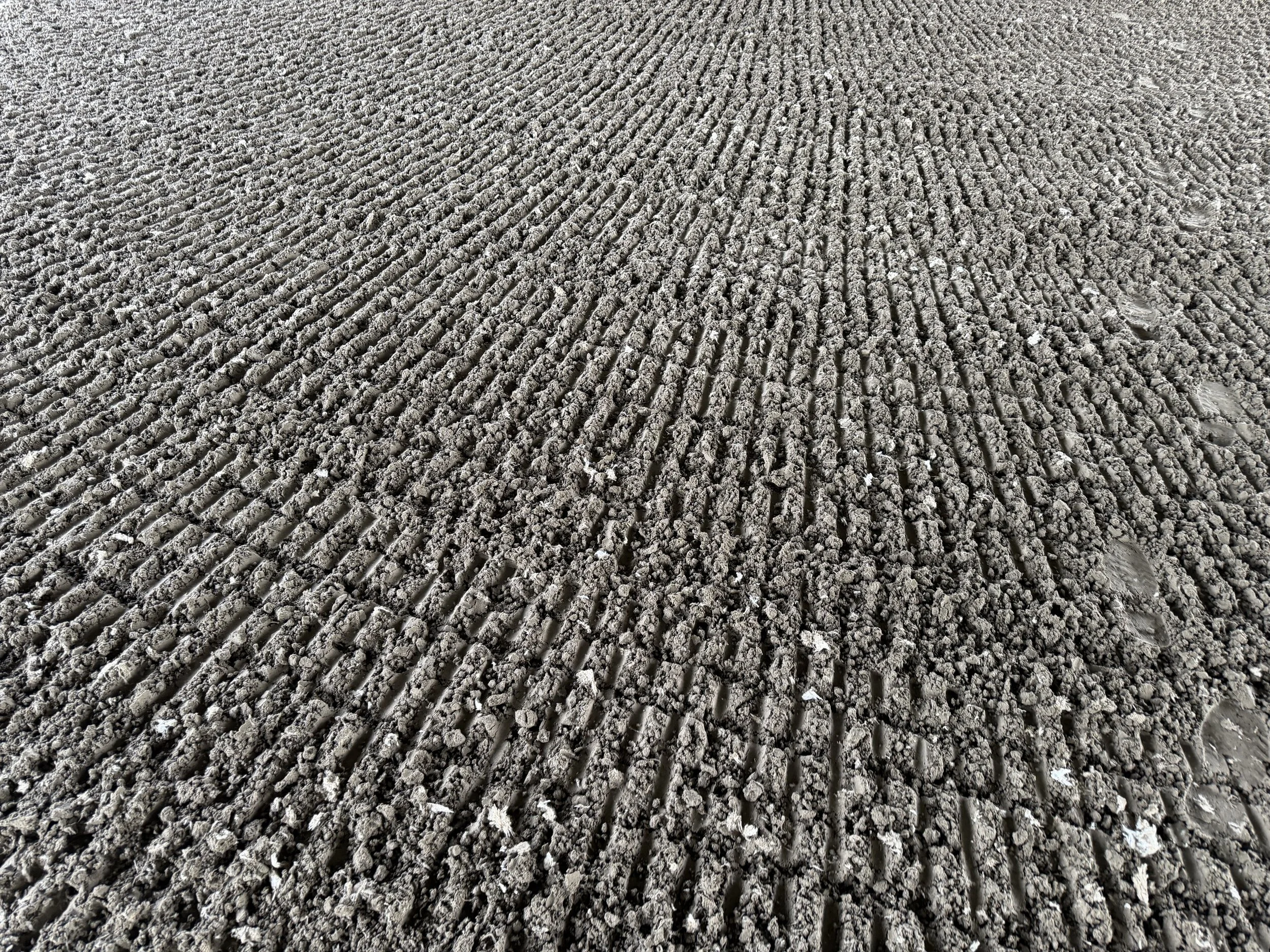 Close-up view of freshly tilled soil with evenly spaced furrows.