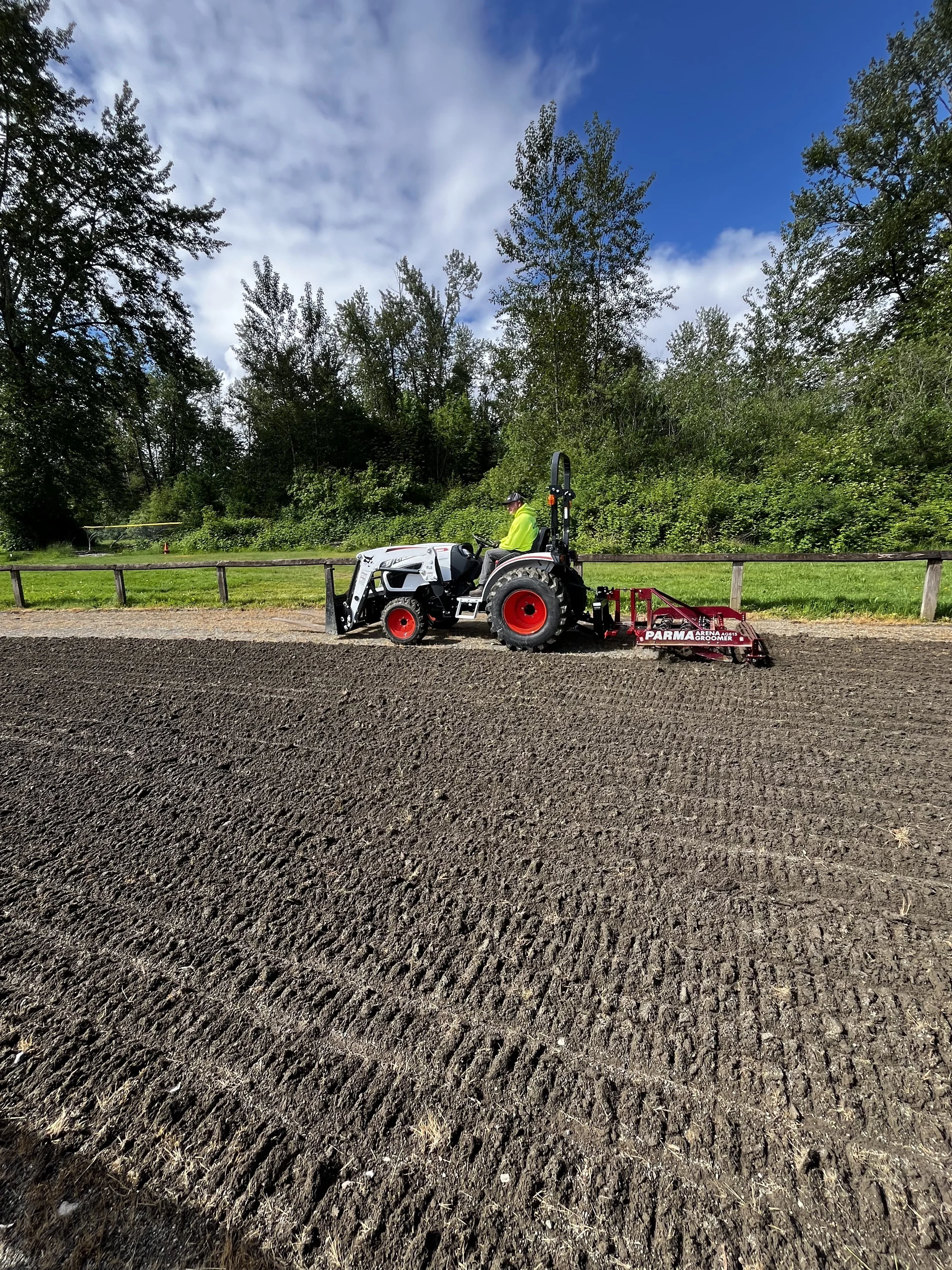 Fall City Parma Grooming