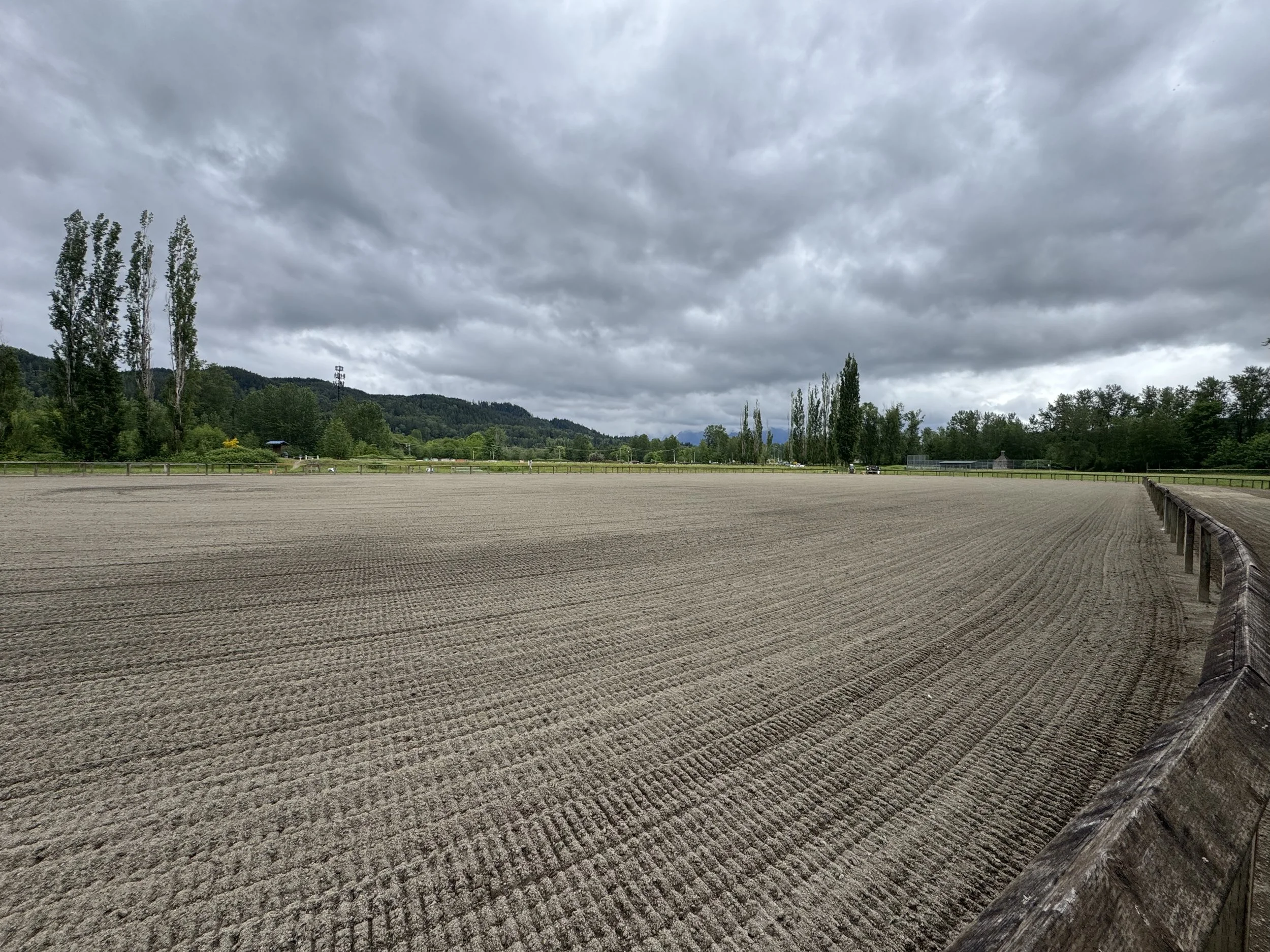 Snohomish Equestrian Horse Arena Rehab