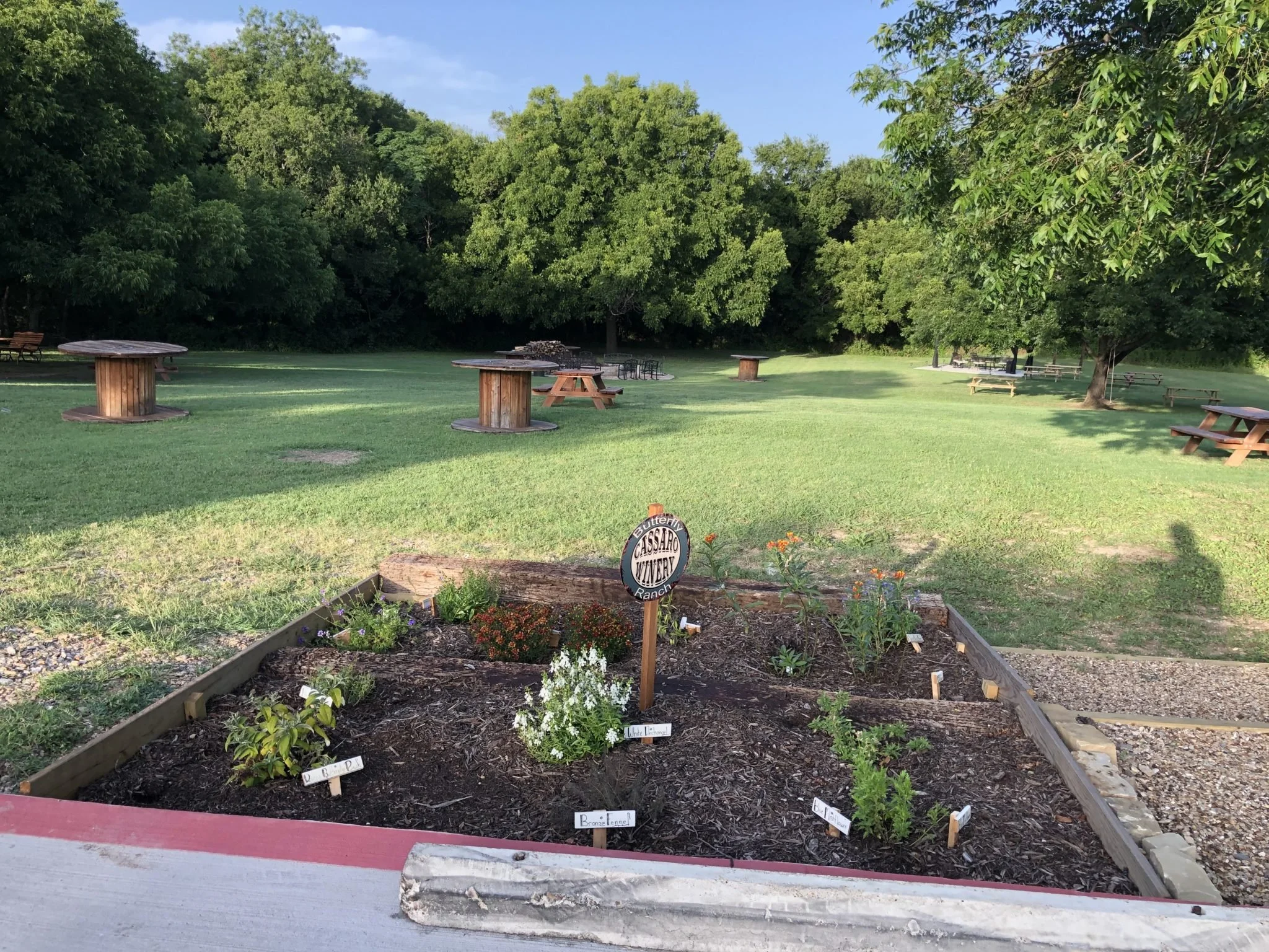 new butterfly garden