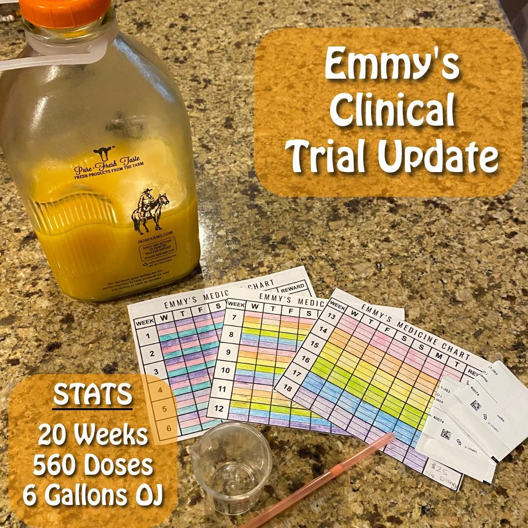 Emmy is officially on the last 4 weeks of her 24-week clinical trial! Unfortunately we have not seen much of a change even after switching at the halfway point. We think she may currently be taking the actual drug (not the placebo) but it&rsquo;s har