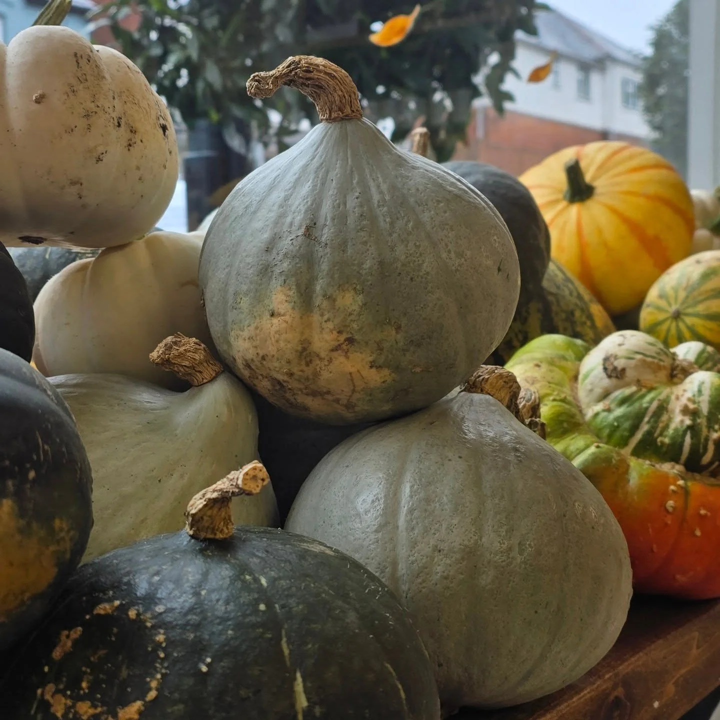 It's that time of year where we stack the windows high with beautiful organic squash from @langridgeorganic, and many recipes and tips are swapped back and forth at the counter for making the most out of these seasonal treats 🍂
