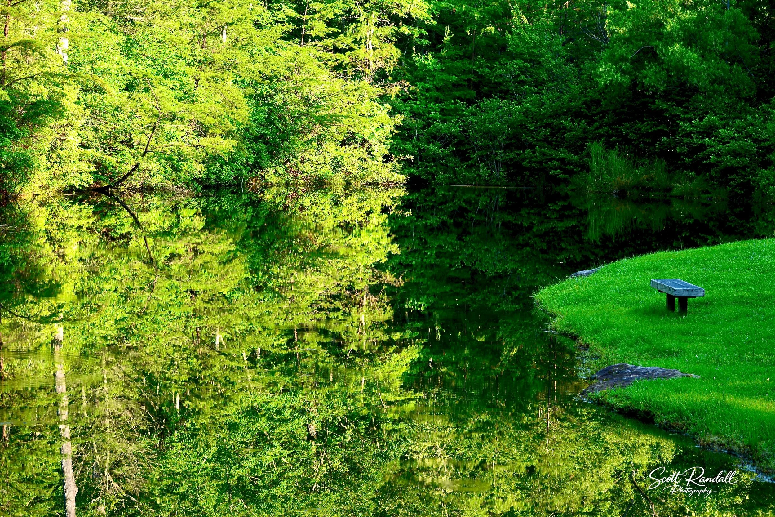 Sit & Reflect. Taken near Caesars Head, SC