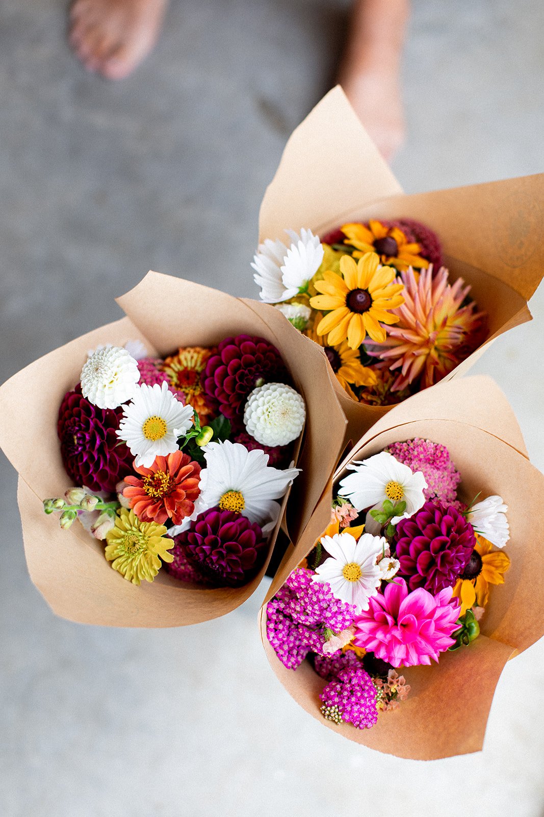 Tasmanian flower farm