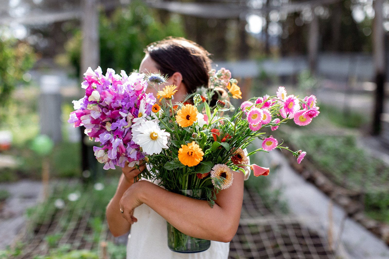 Tasmanian flower farm