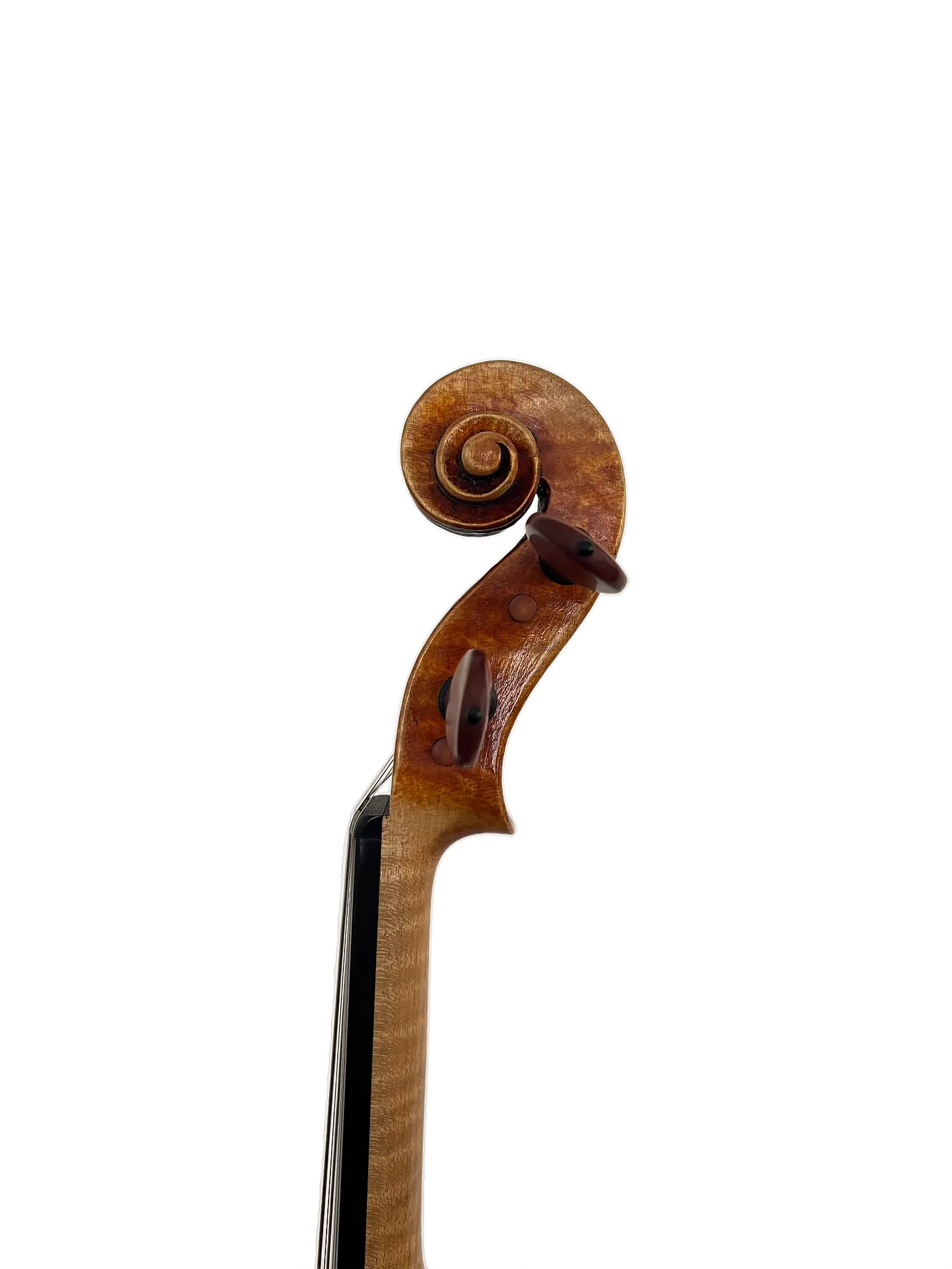 wilbaux vn scroll R.png