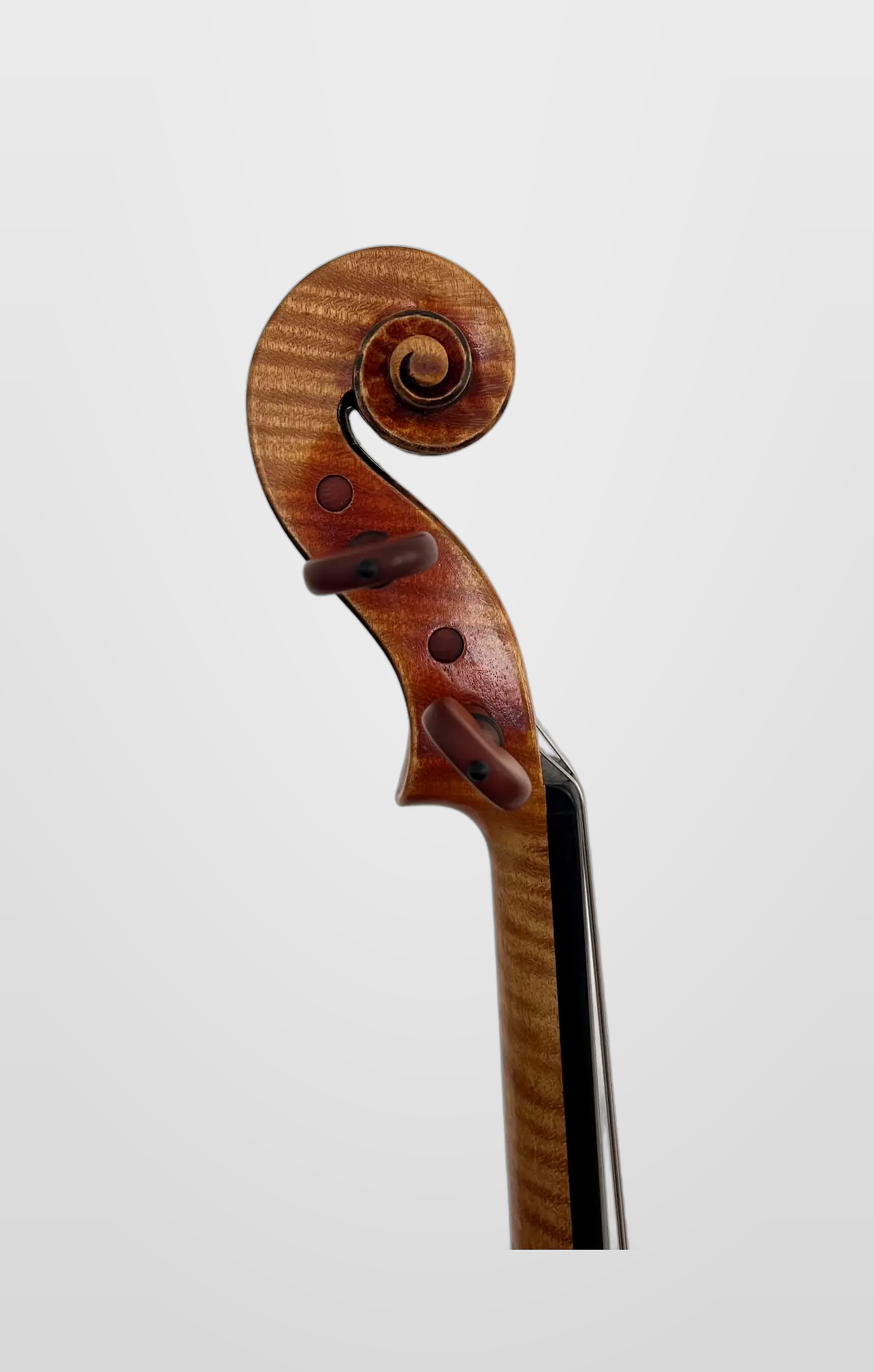 Valcuha scroll L.png