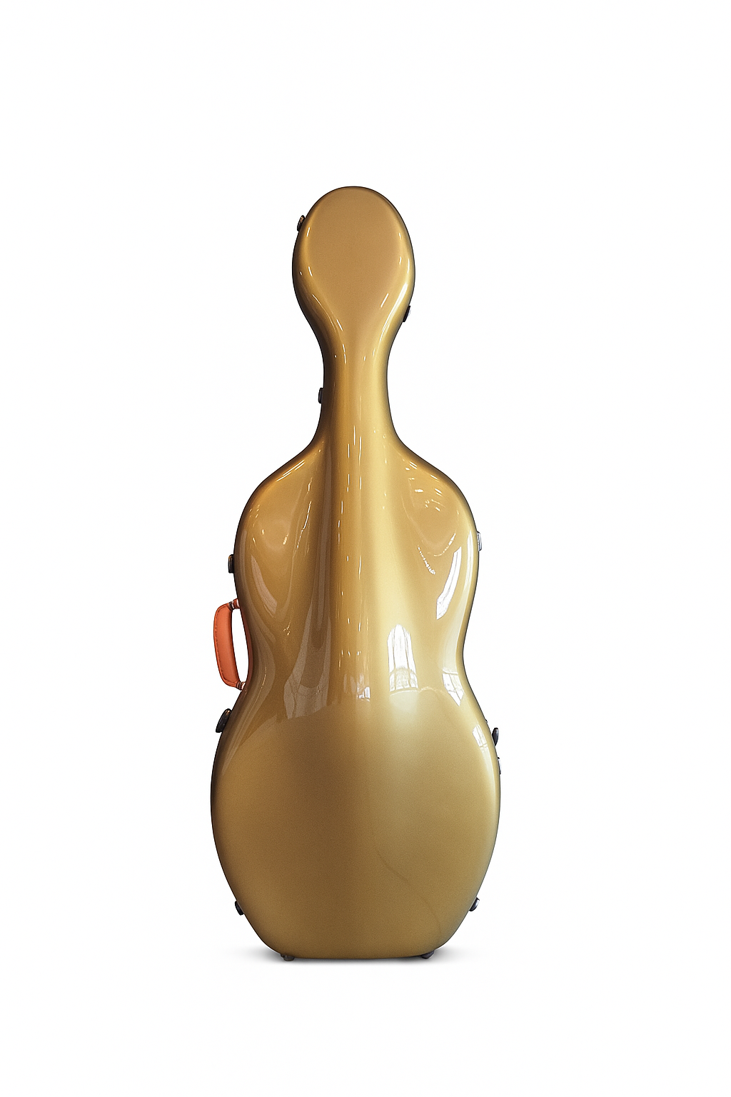 Alpha Case Kiwi.png