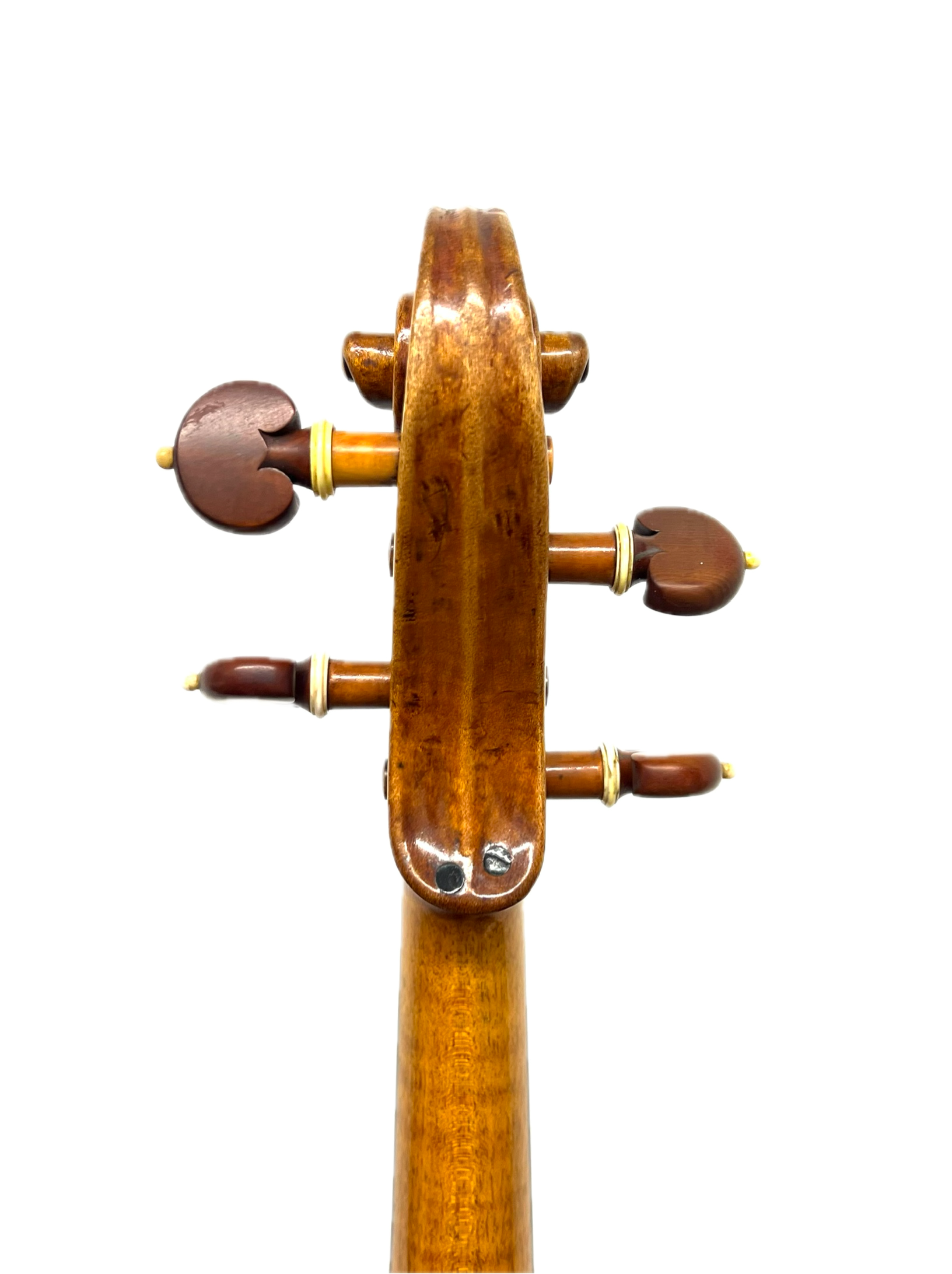 IMG_1616 Background Removed.png