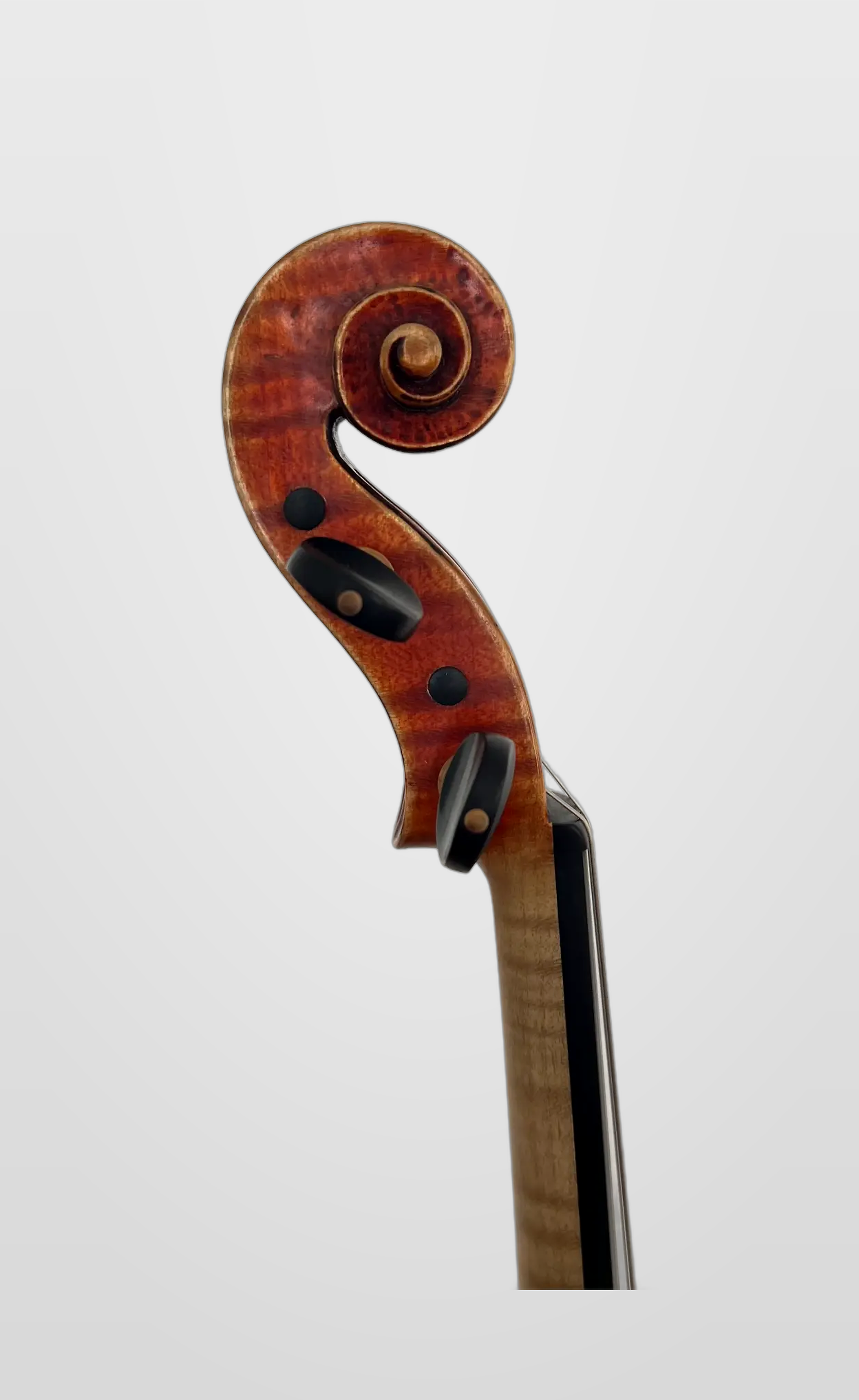 Apostolou scroll L.png