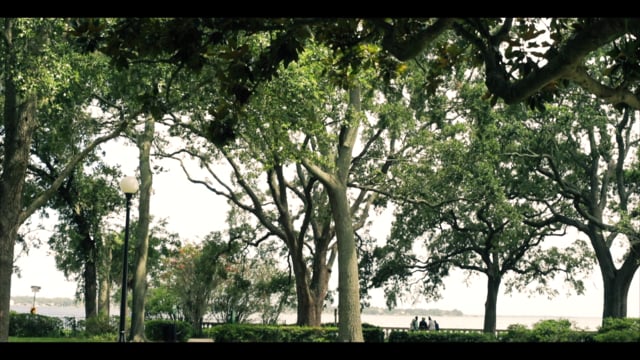 Memorial Park