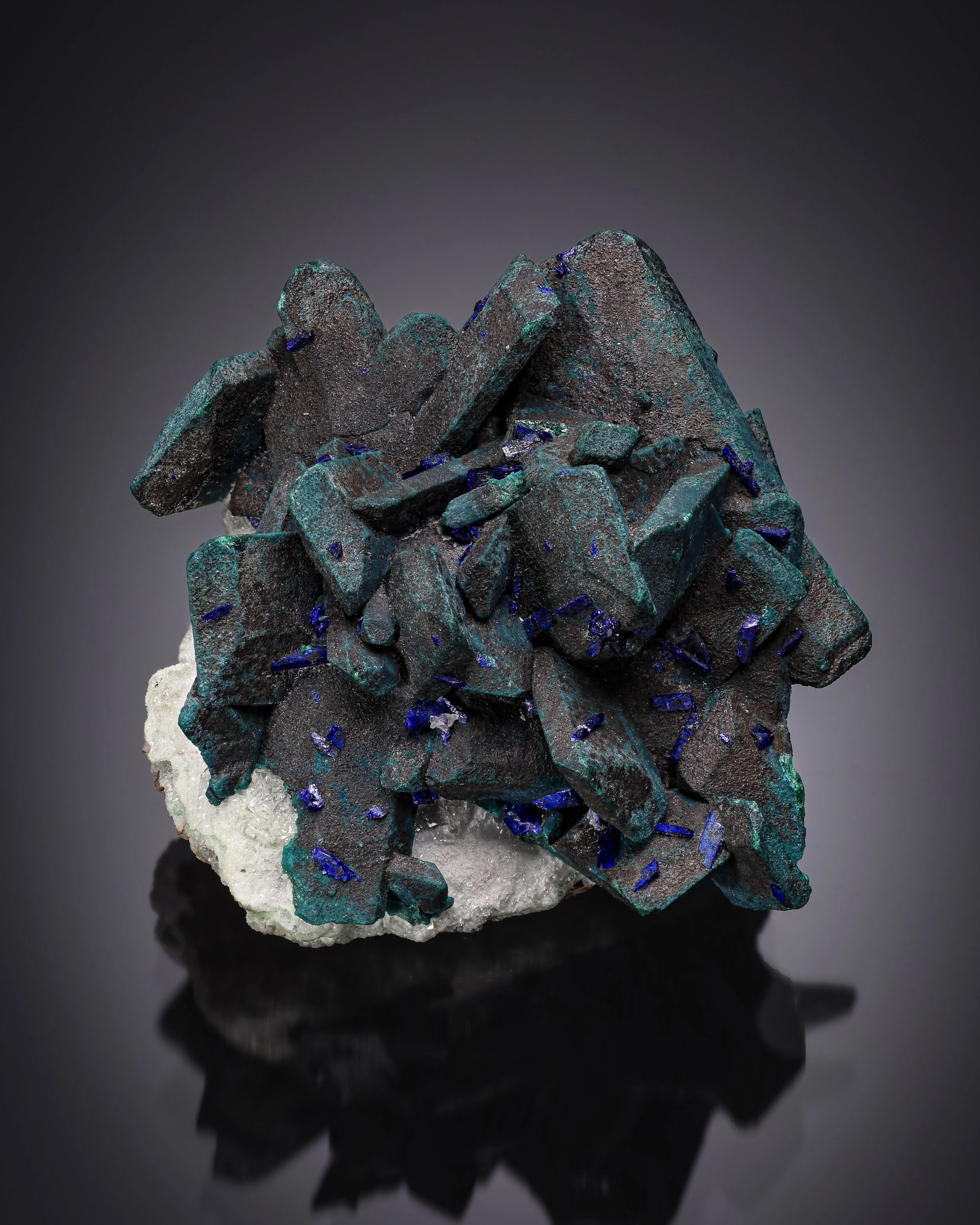 2025-12-13-06.10.41 ZS retouched-Edit-1.jpg