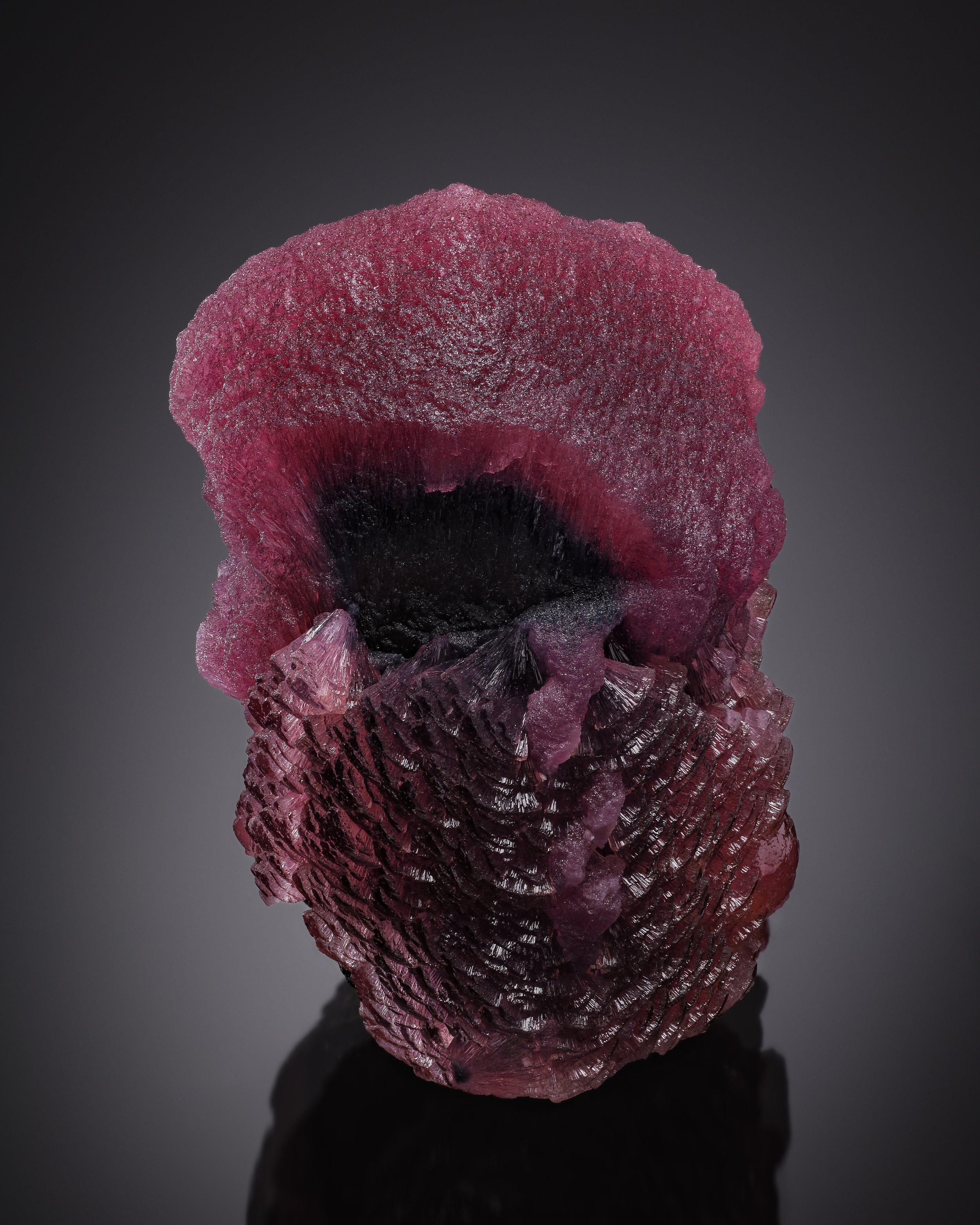 2025-12-02-01.17.40 ZS retouched-Edit-1.jpg