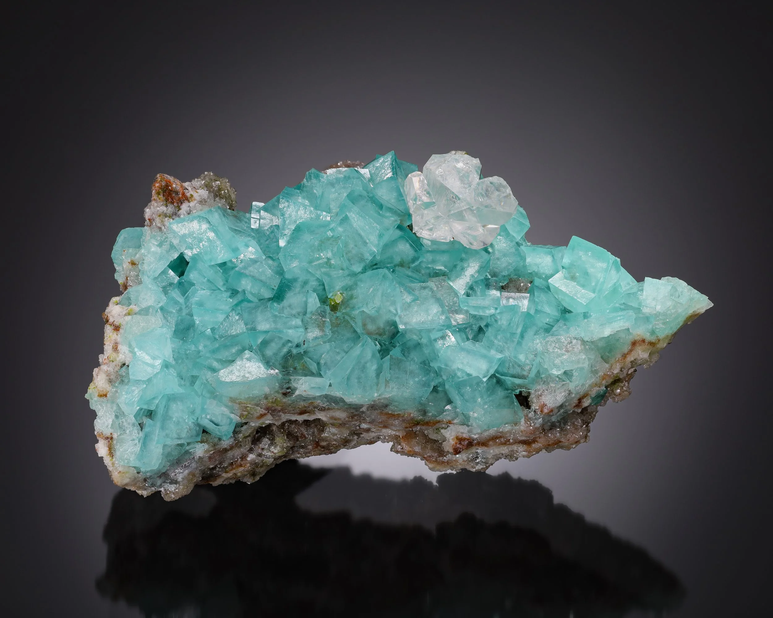 2025-12-13-02.53.32 ZS retouched-Edit-1.jpg