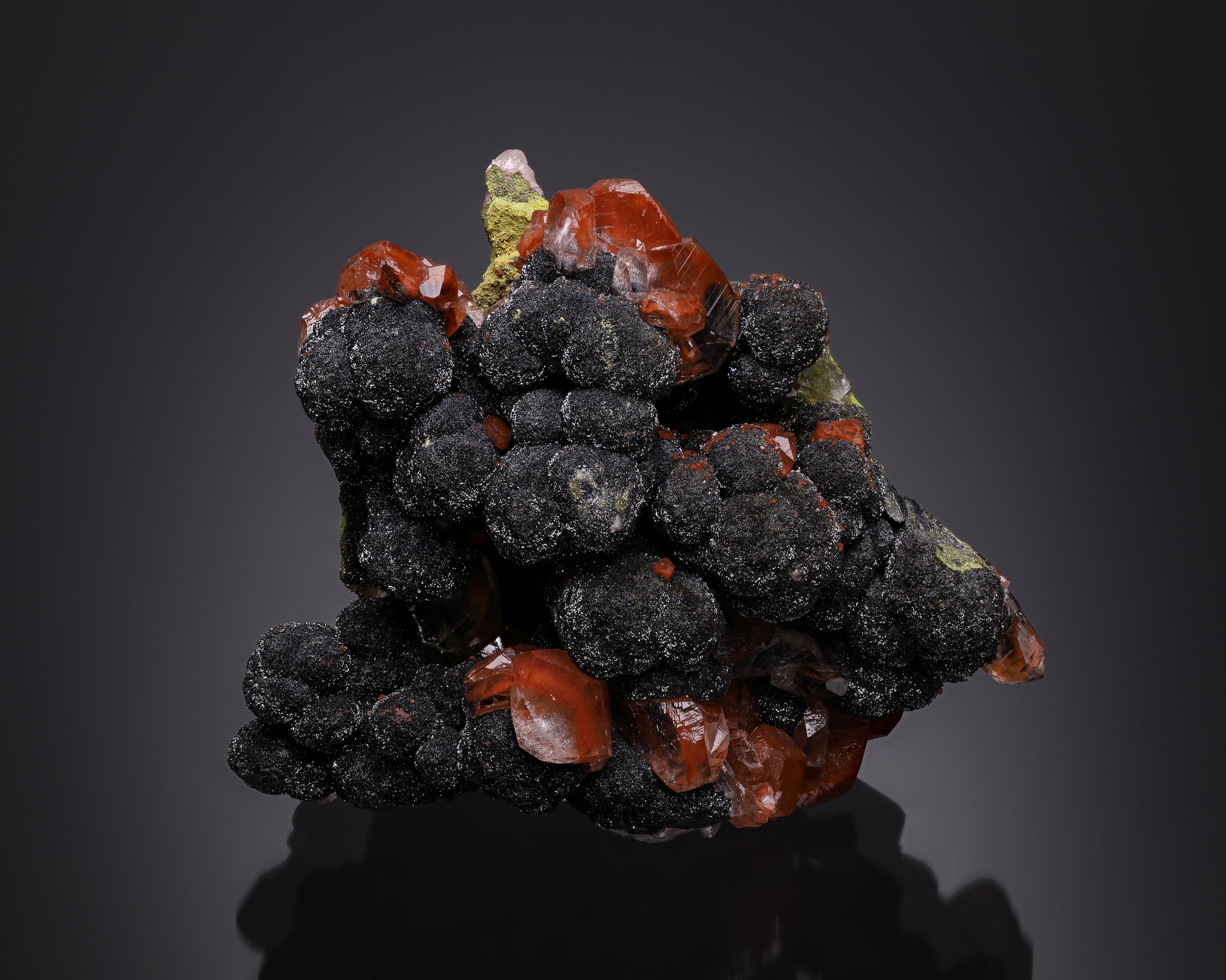 2025-12-13-12.11.47 ZS retouched-Edit-1.jpg