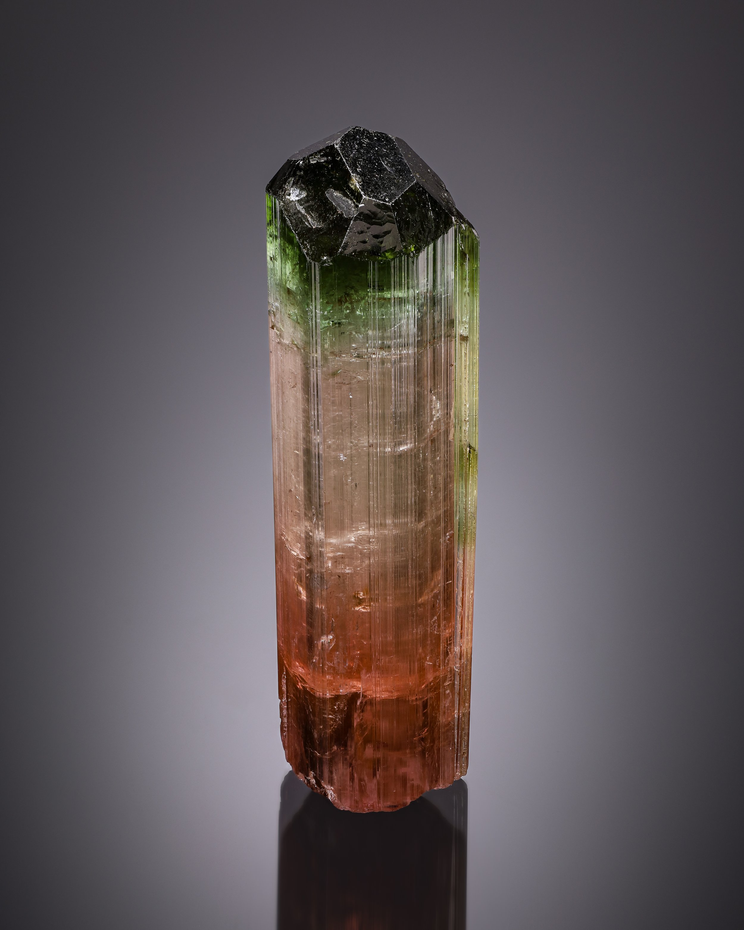 2025-12-13-05.38.30 ZS retouched-Edit-1.jpg