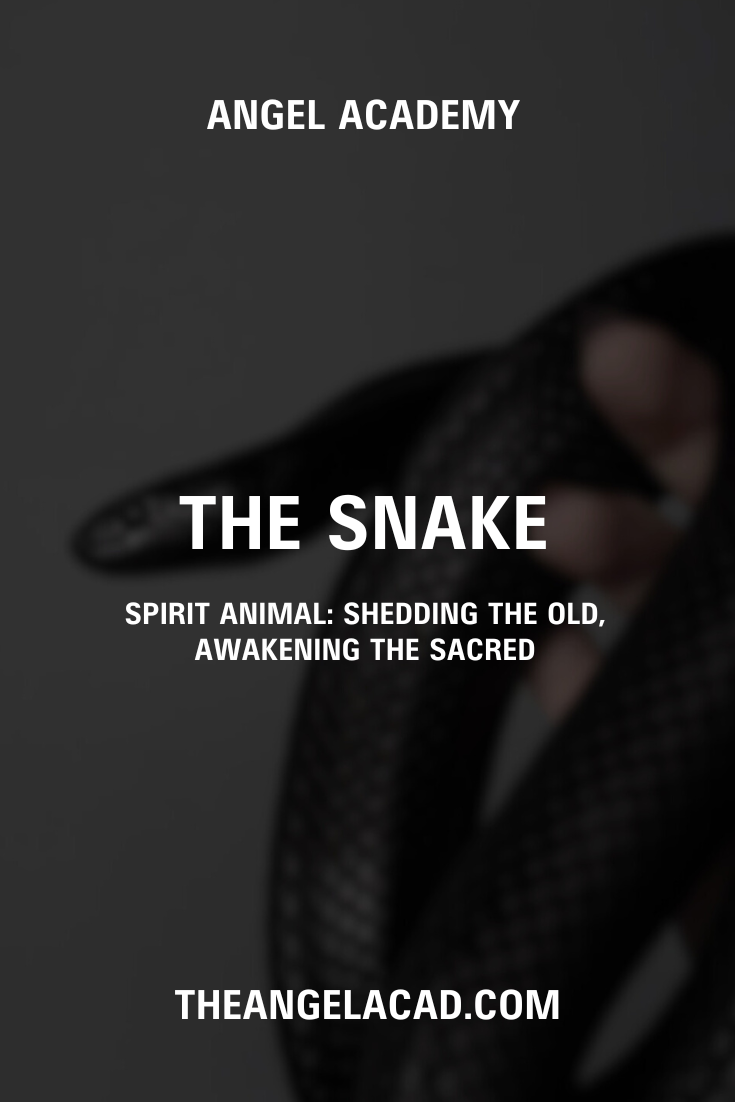 The Snake Spirit Animal: Shedding the Old, Awakening the Sacred