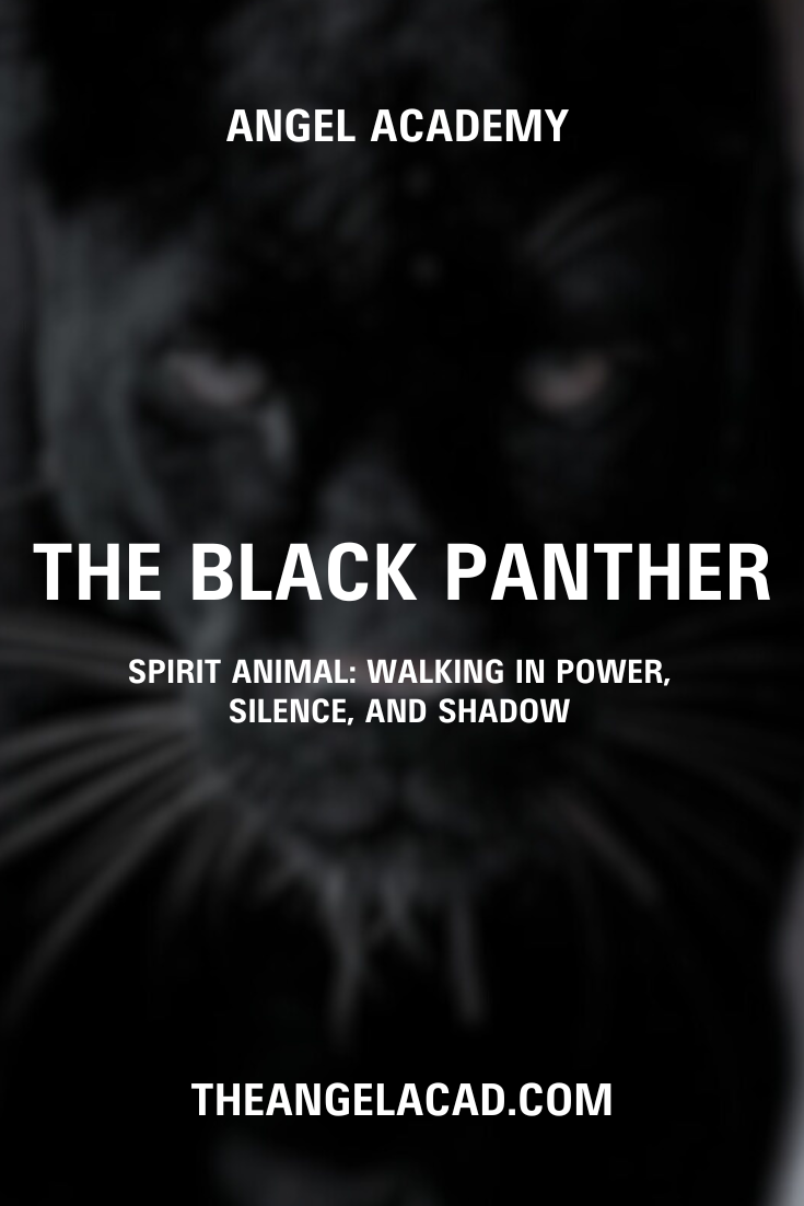 The Black Panther SPIRIT ANIMAL: WALKING IN POWER,SILENCE, AND SHADOW