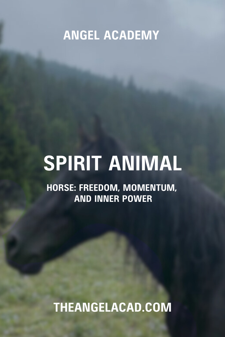 Spirit Animal Horse: Freedom, Momentum, and Inner Power