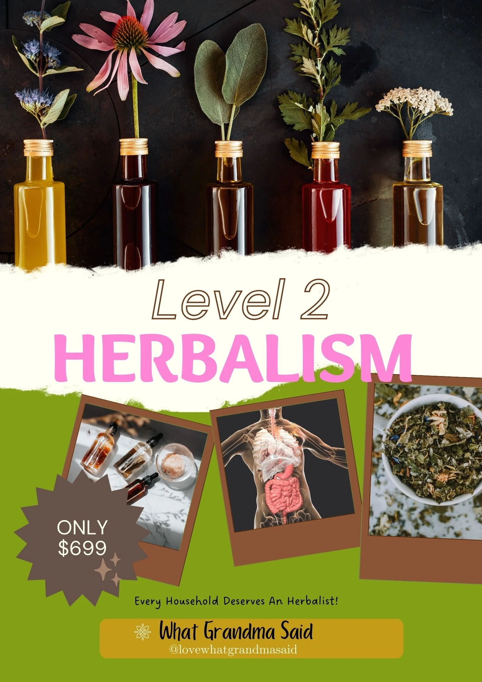 March Level 2 Herbalism Program — UnEarthed Botanicals LLC.