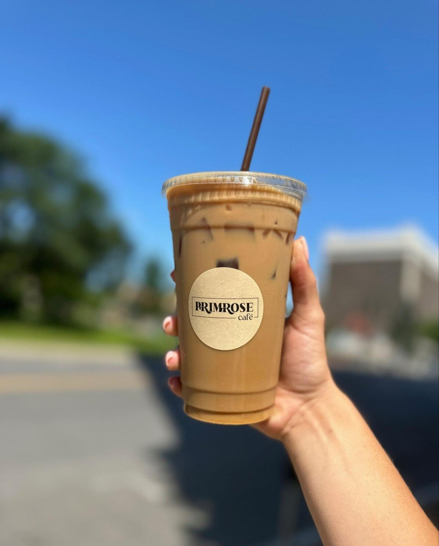 Who else misses this summer view? 😍

An iced coffee + the sun = an awesome summer throwback

#primrosecafe #pink #primrose #foodie #lunch #brunch #eatingout #downtownalbany #lunchdate #518 #upstateny #food #icedcoffee