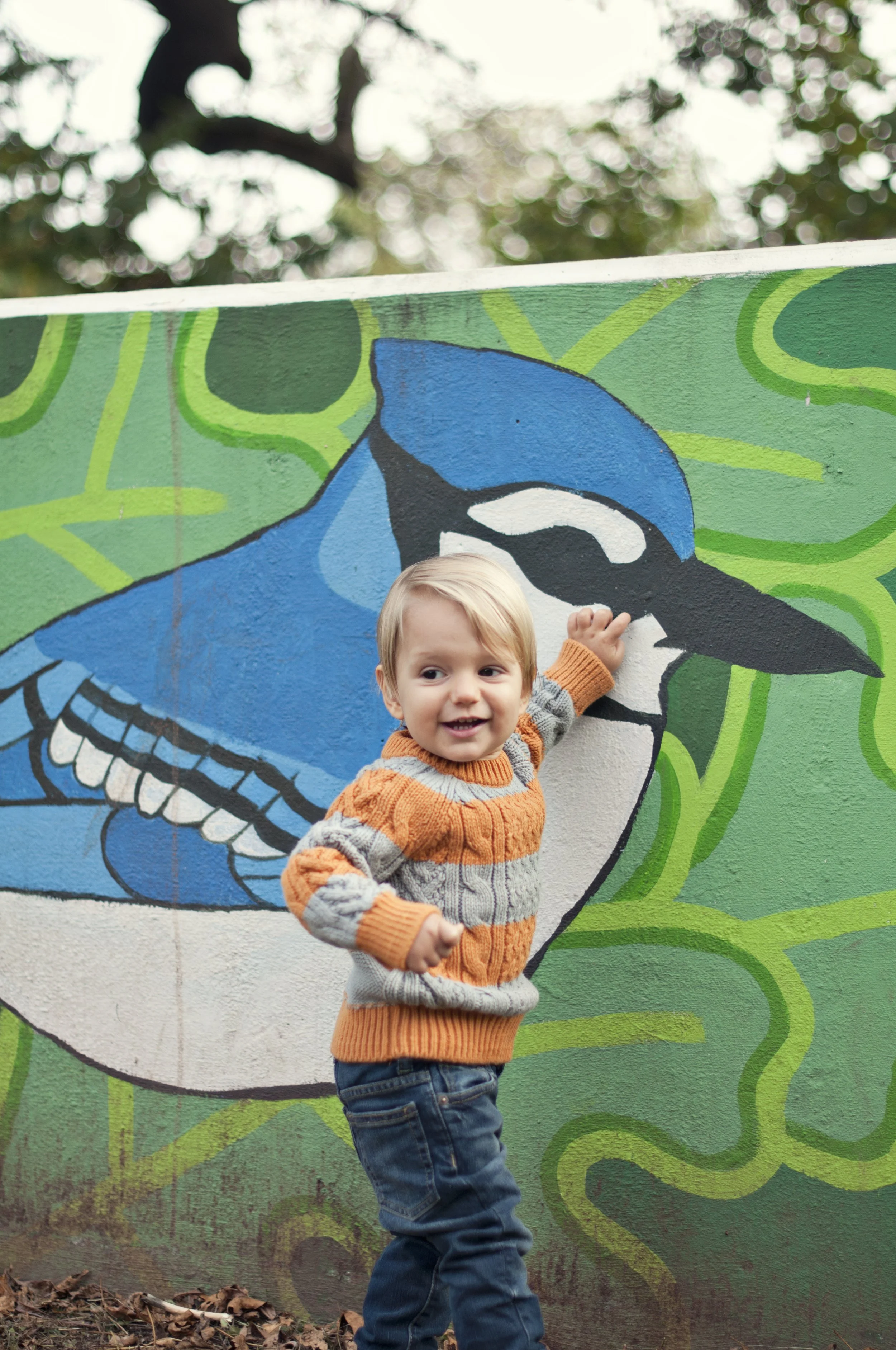 LeoOctober26 2016-2.jpg