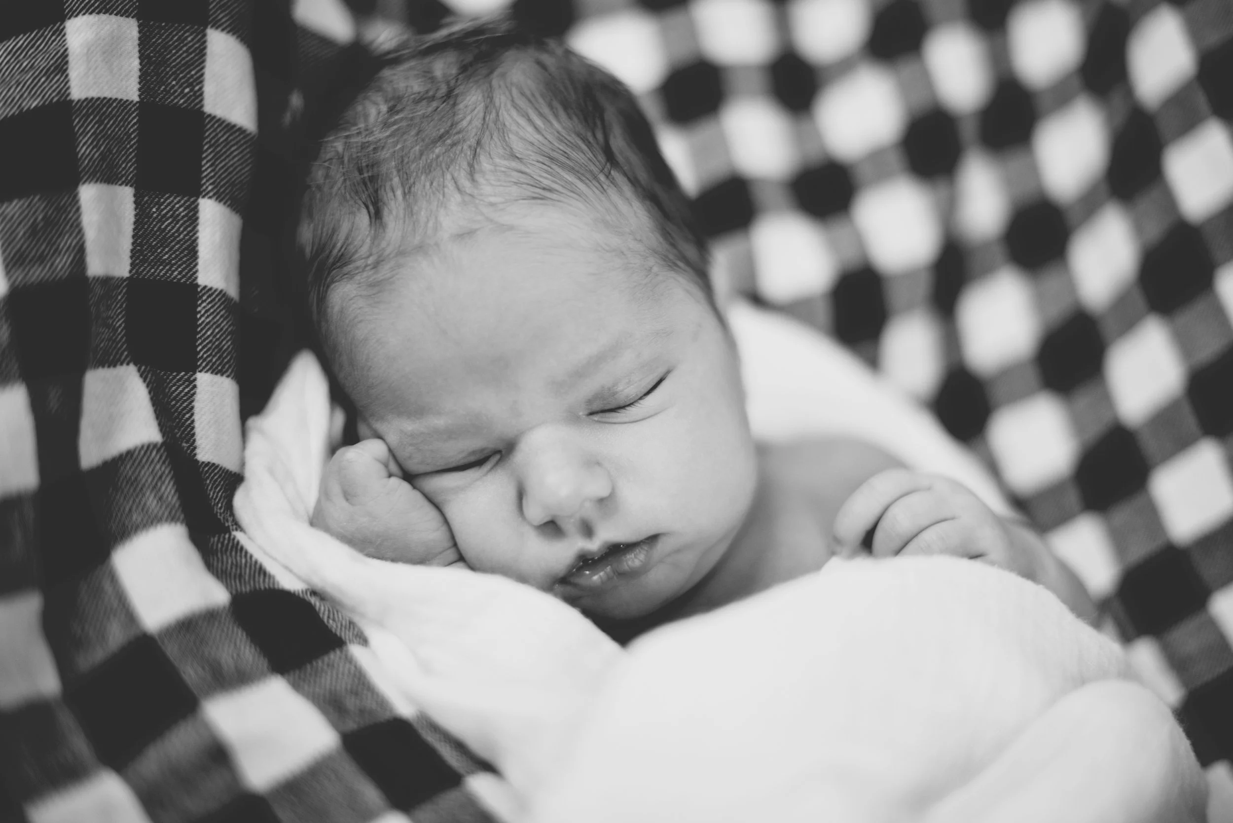 Elory 2018 October30-5.jpg