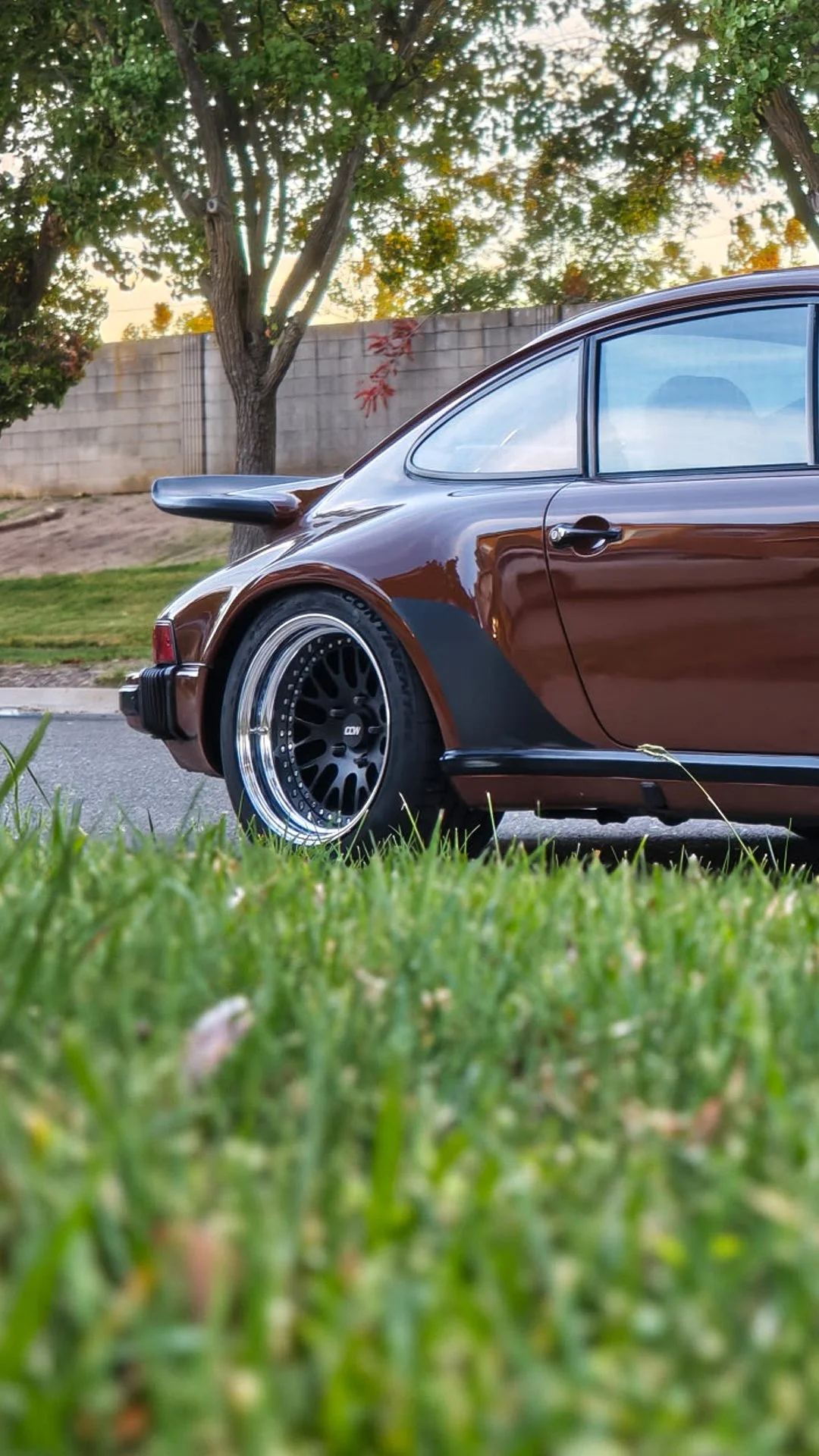 V-brown-Porsche-930-stone-guards-rear-medium.jpg