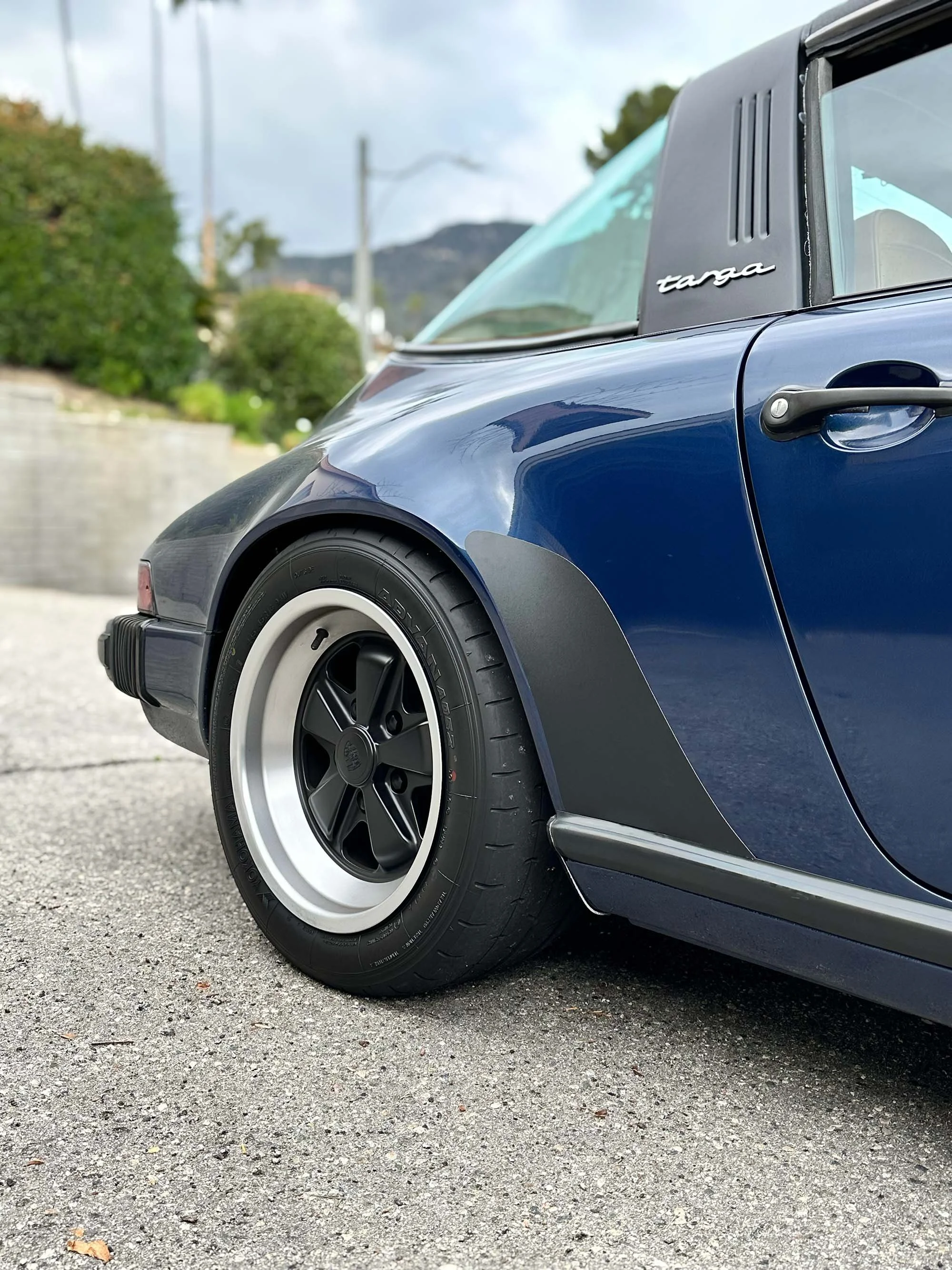 Blue-911-targa-with-black-stone-guards-rear-passenger angled-view.jpg