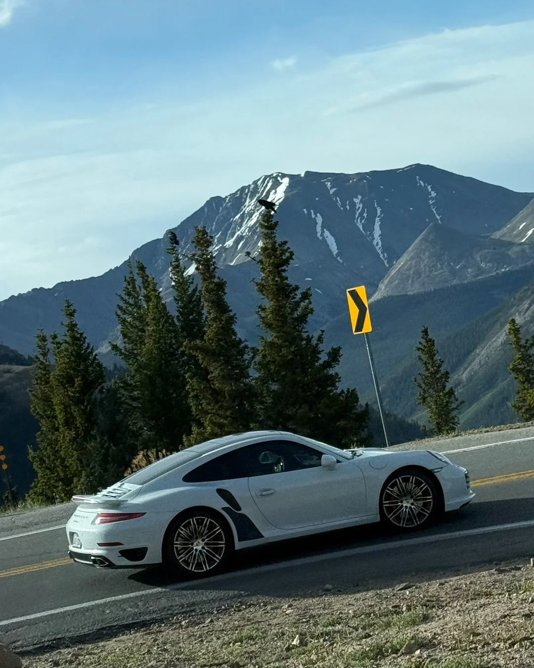 0000__white-991-turbo-climbing-mountain-black-magnafins.jpg
