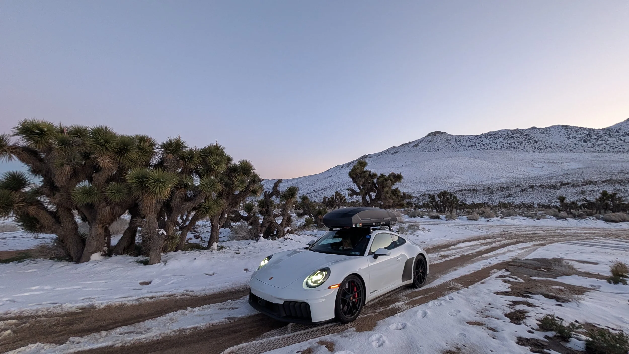 White-992-joshua-tree-snow.jpeg