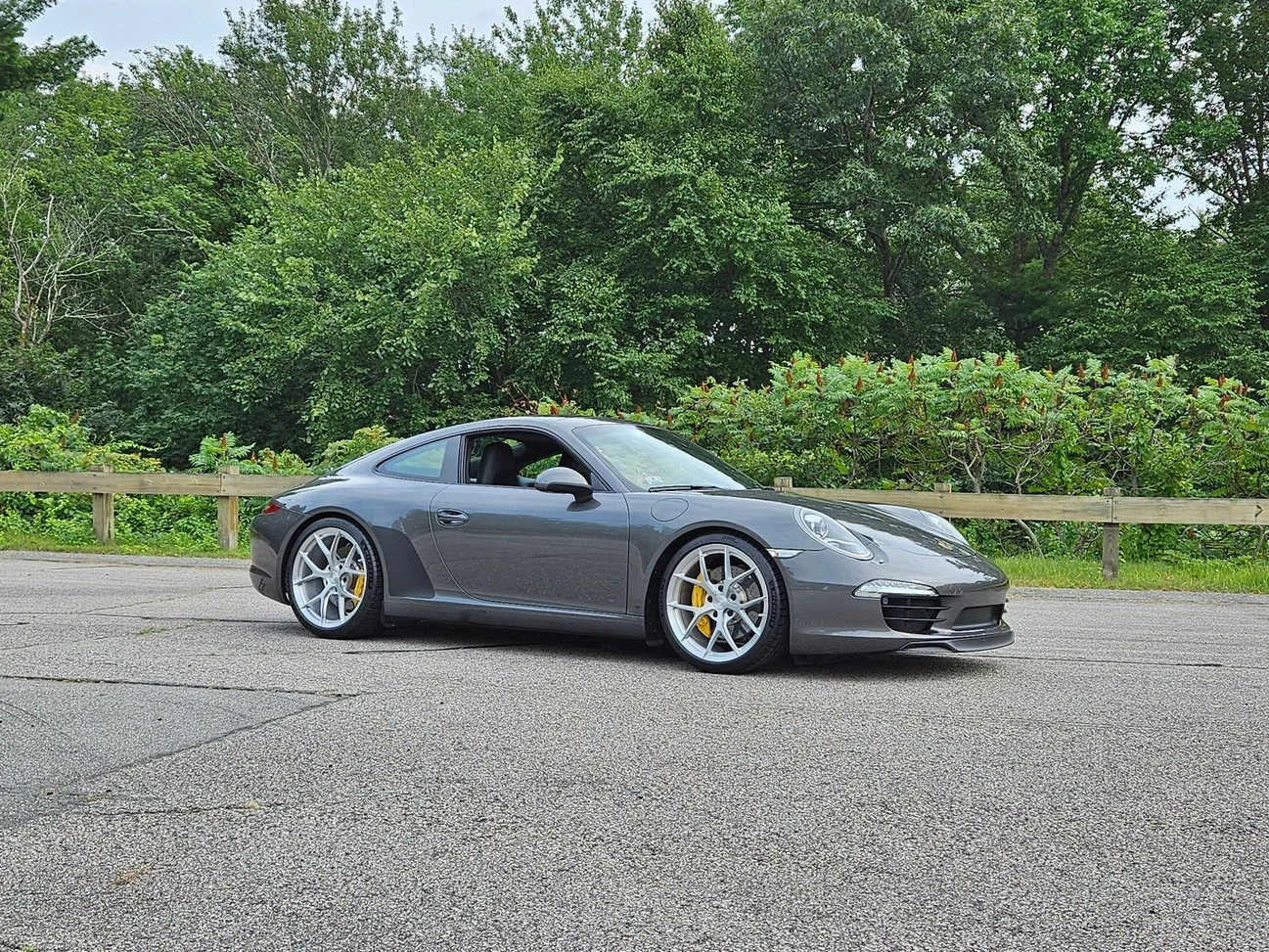 Gray-991_mfonseca-side-black magnafins_road-trees.jpg