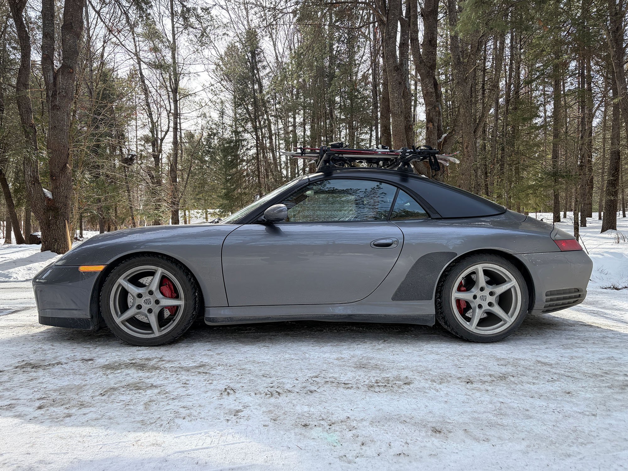 9964S-ski-rack-snow-magnetic-stone-guards.jpg