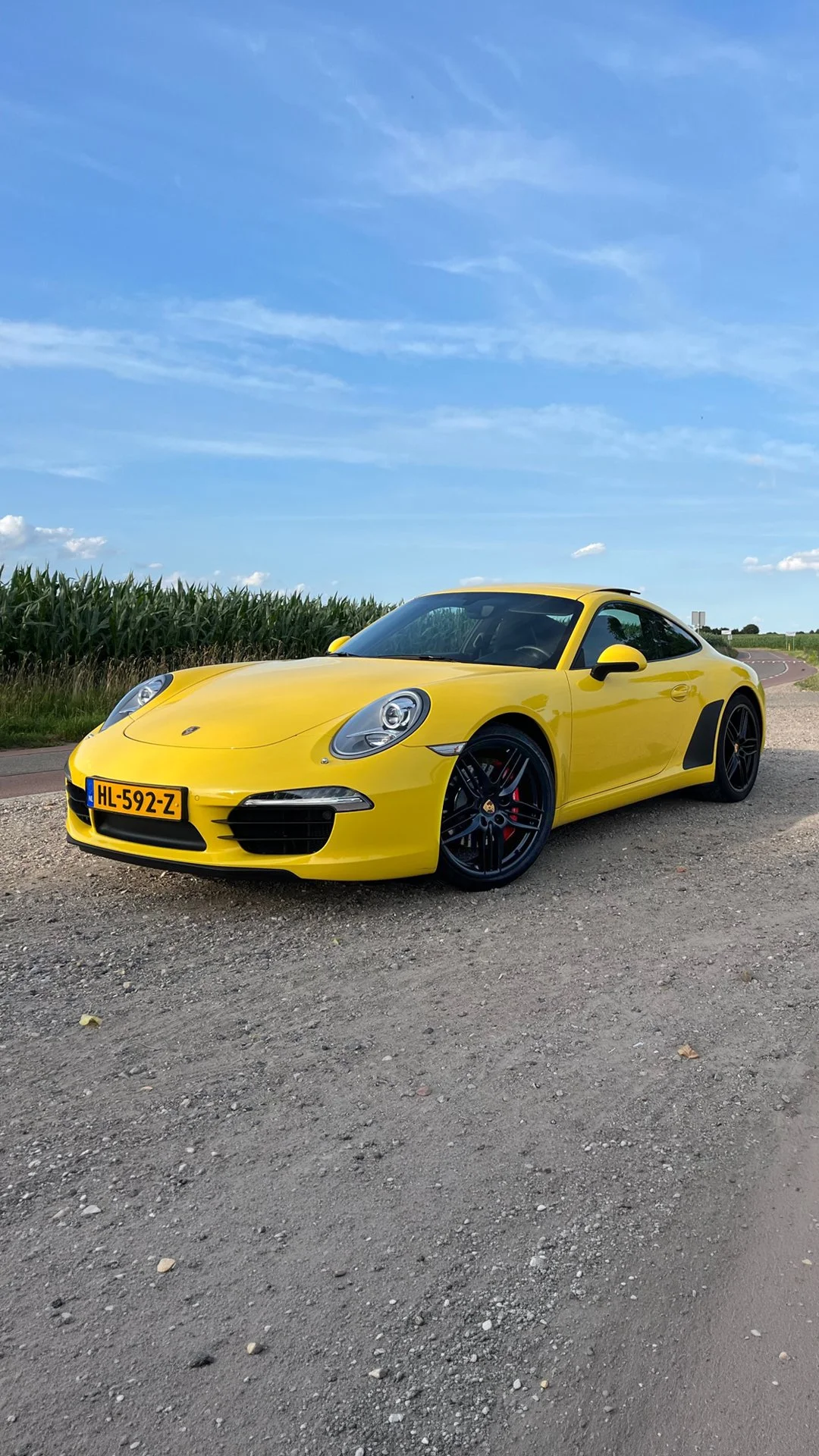_V-911-Carrera-T-yellow-black Magnafins-frt-angled-country road.jpg