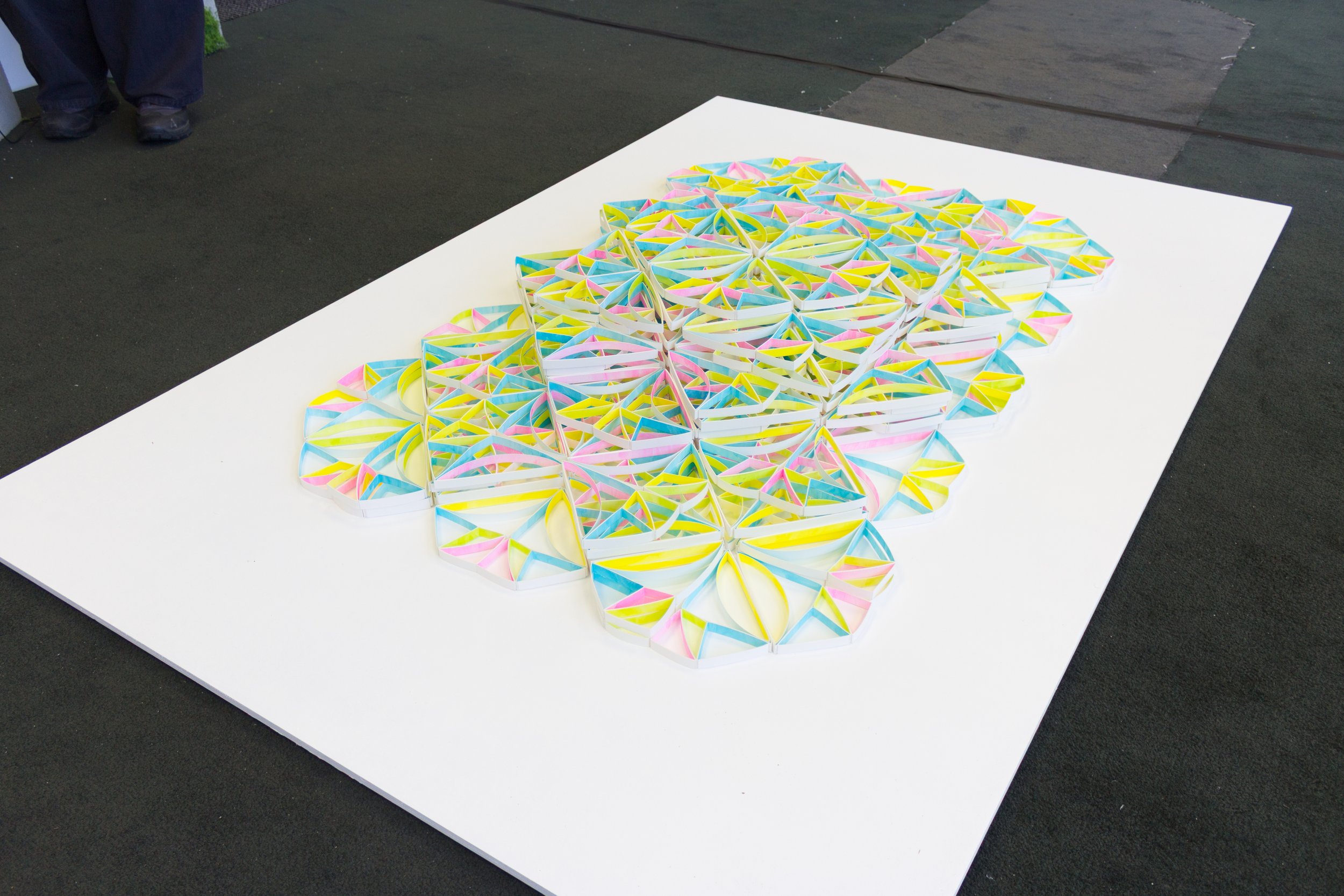 IMG_3210.jpg