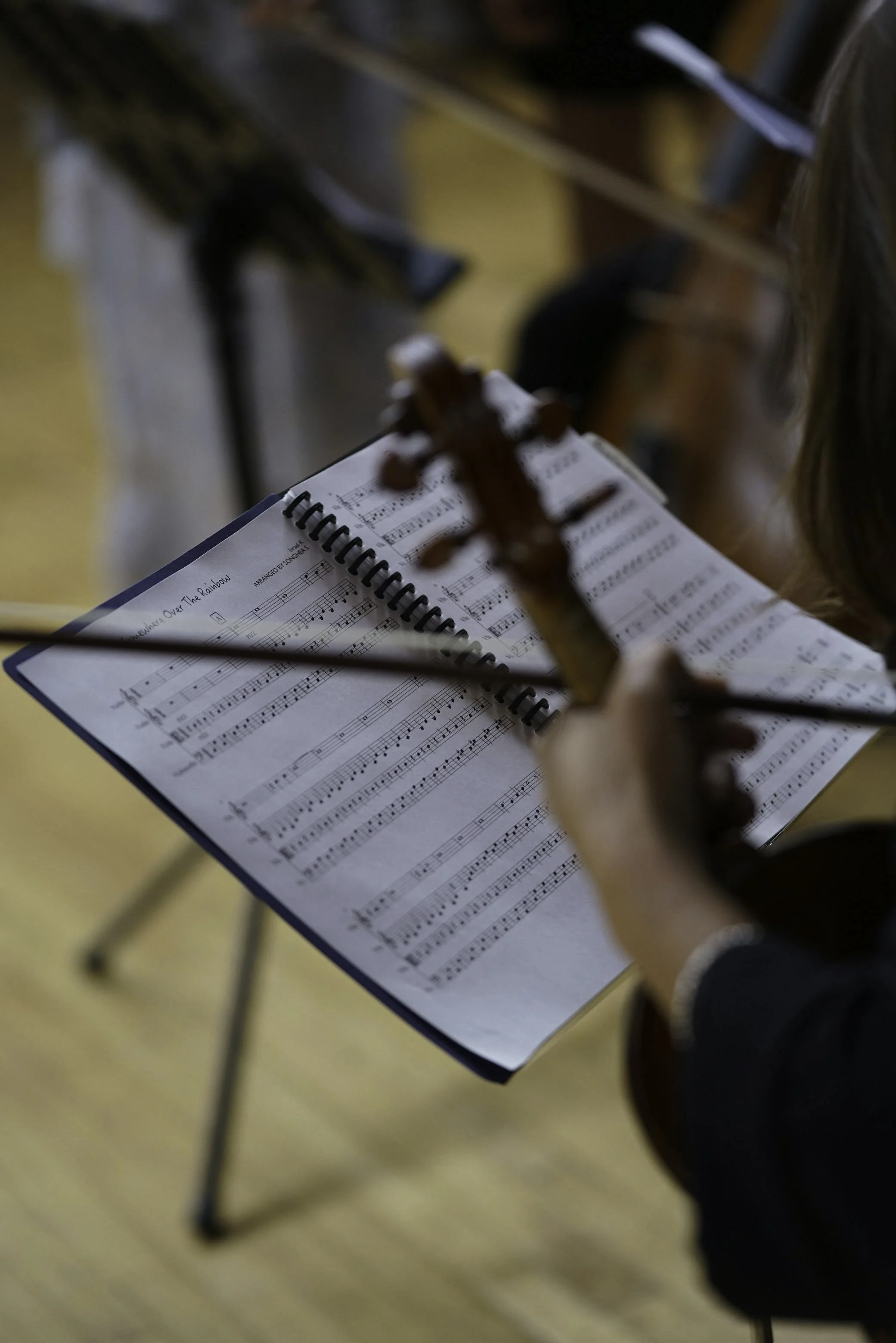 The Rhythms of Learning: How Suzuki Violin Lessons Enhance Cognitive ...