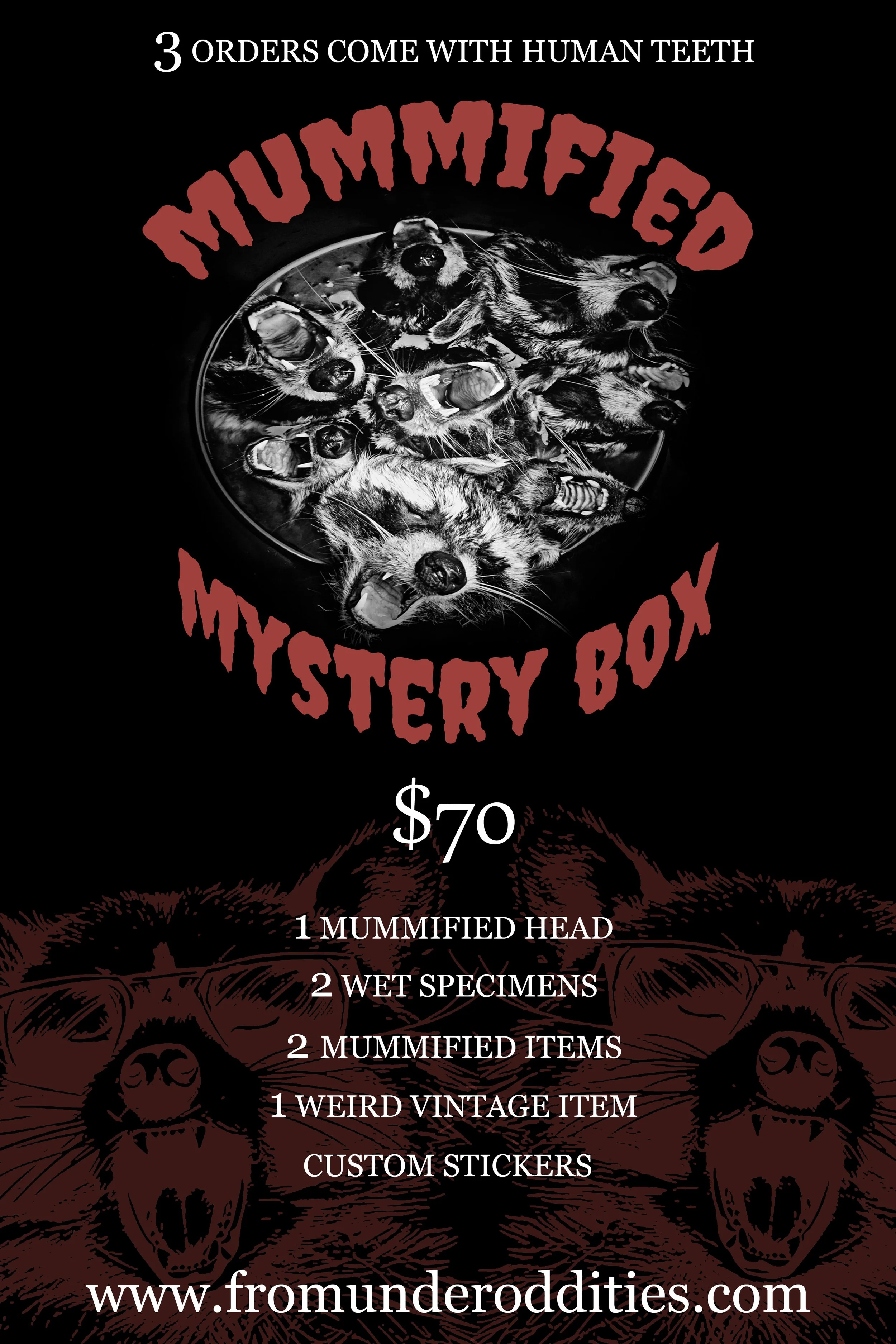 Raccoon Mystery Box