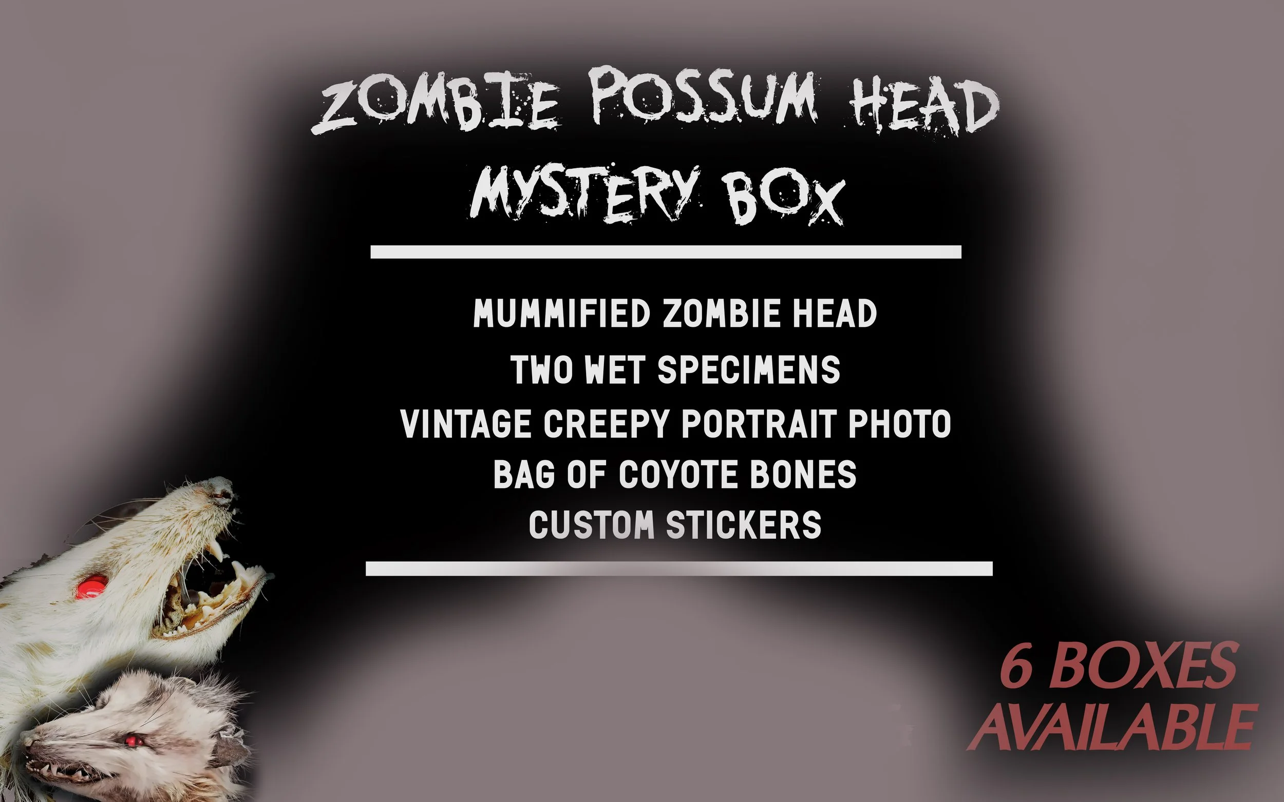 Zombie Possum Mystery Box