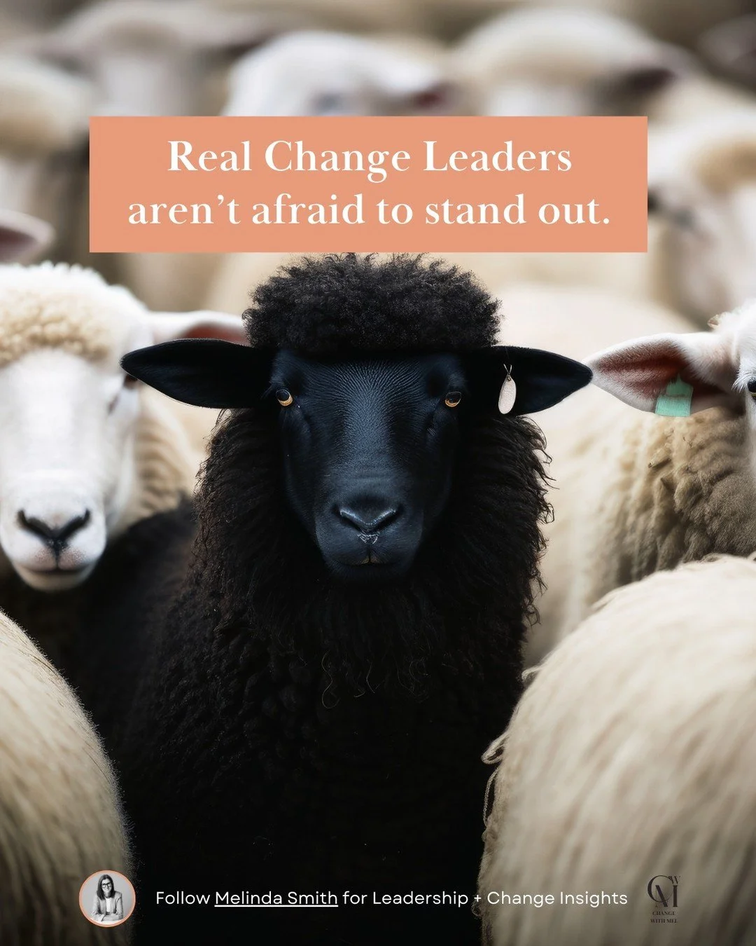 Ever noticed your team nodding along quietly, following the herd, but deep down they're not truly committed?

That's the Sheep Effect of Change&mdash;people politely or blindly agreeing but lacking genuine buy-in. It&rsquo;s passive, safe, and unfort