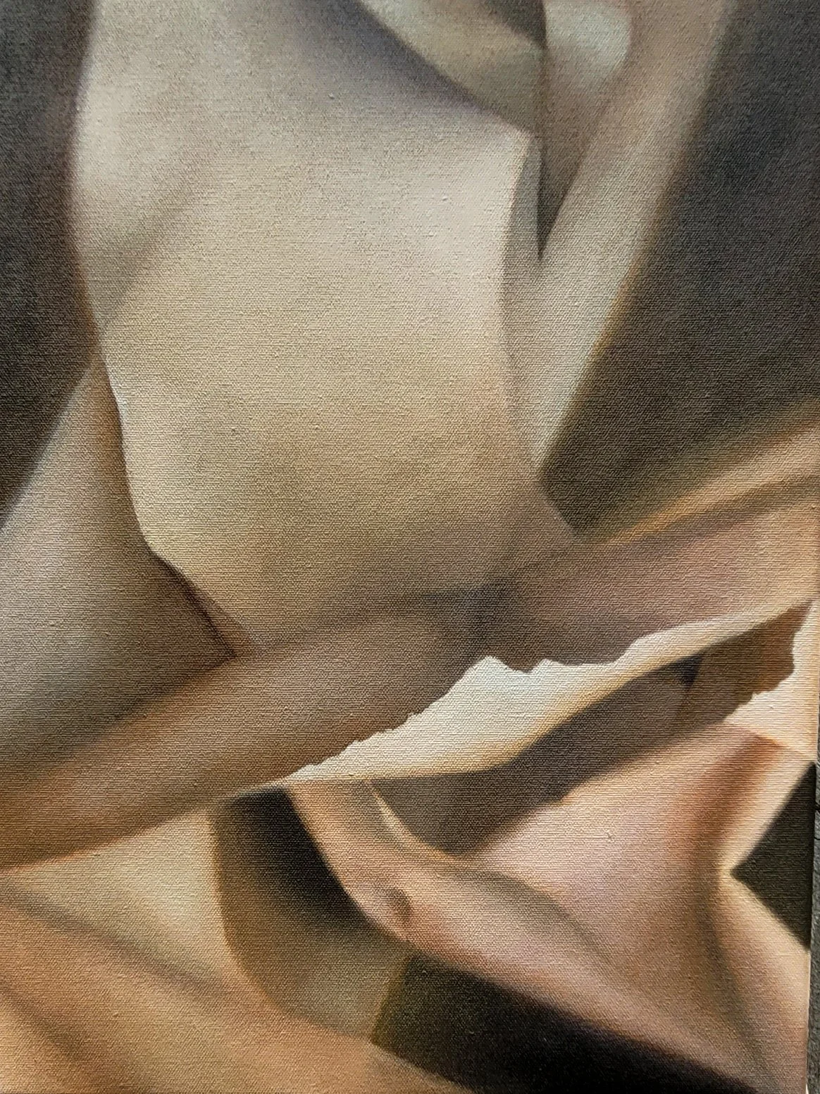 Cally Lotz Tape, 2023 Oil on canvas 40 x 30 cms $1600