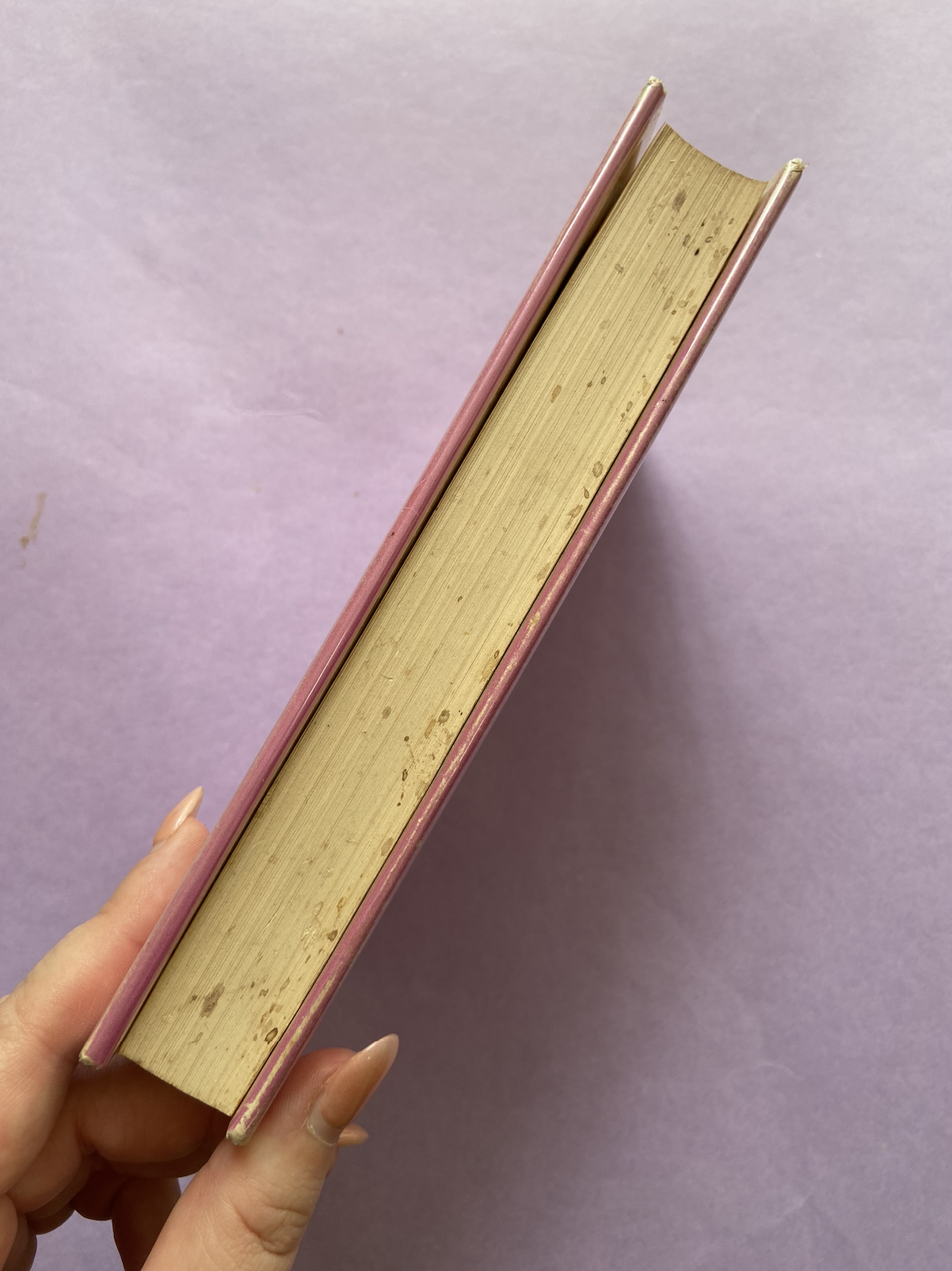 Screenshot 2026-01-25 at 2.10.56 pm.png